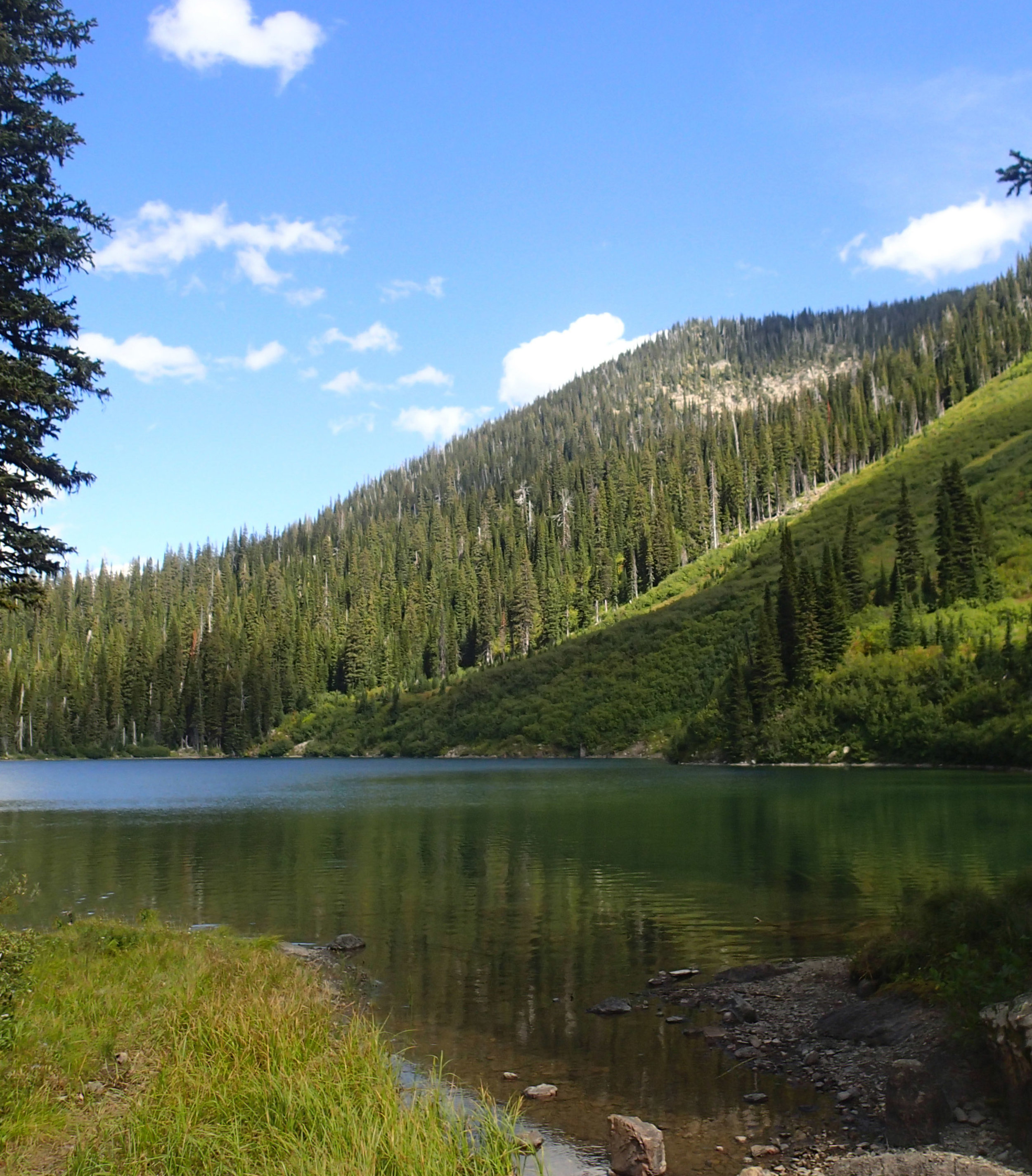 Flathead National Forest.jpg