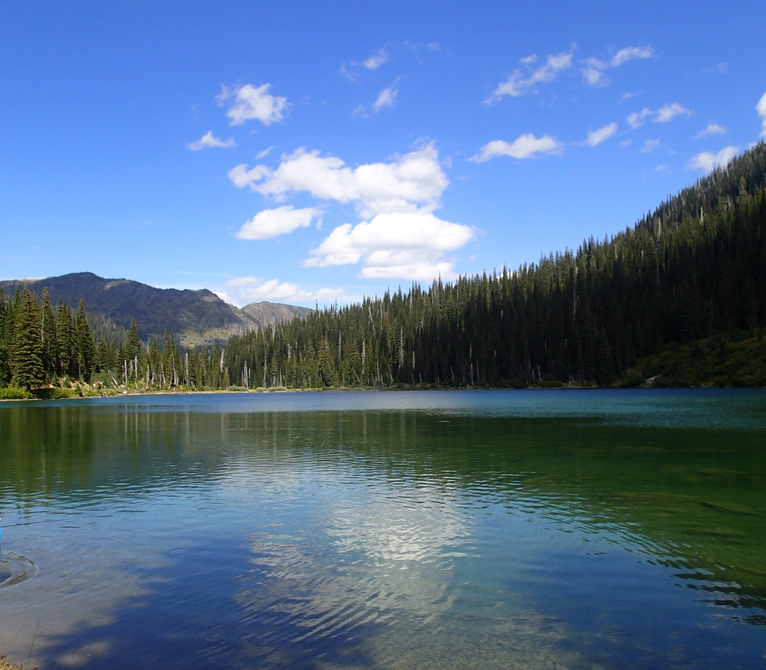 lost in Flathead National Forest.jpg