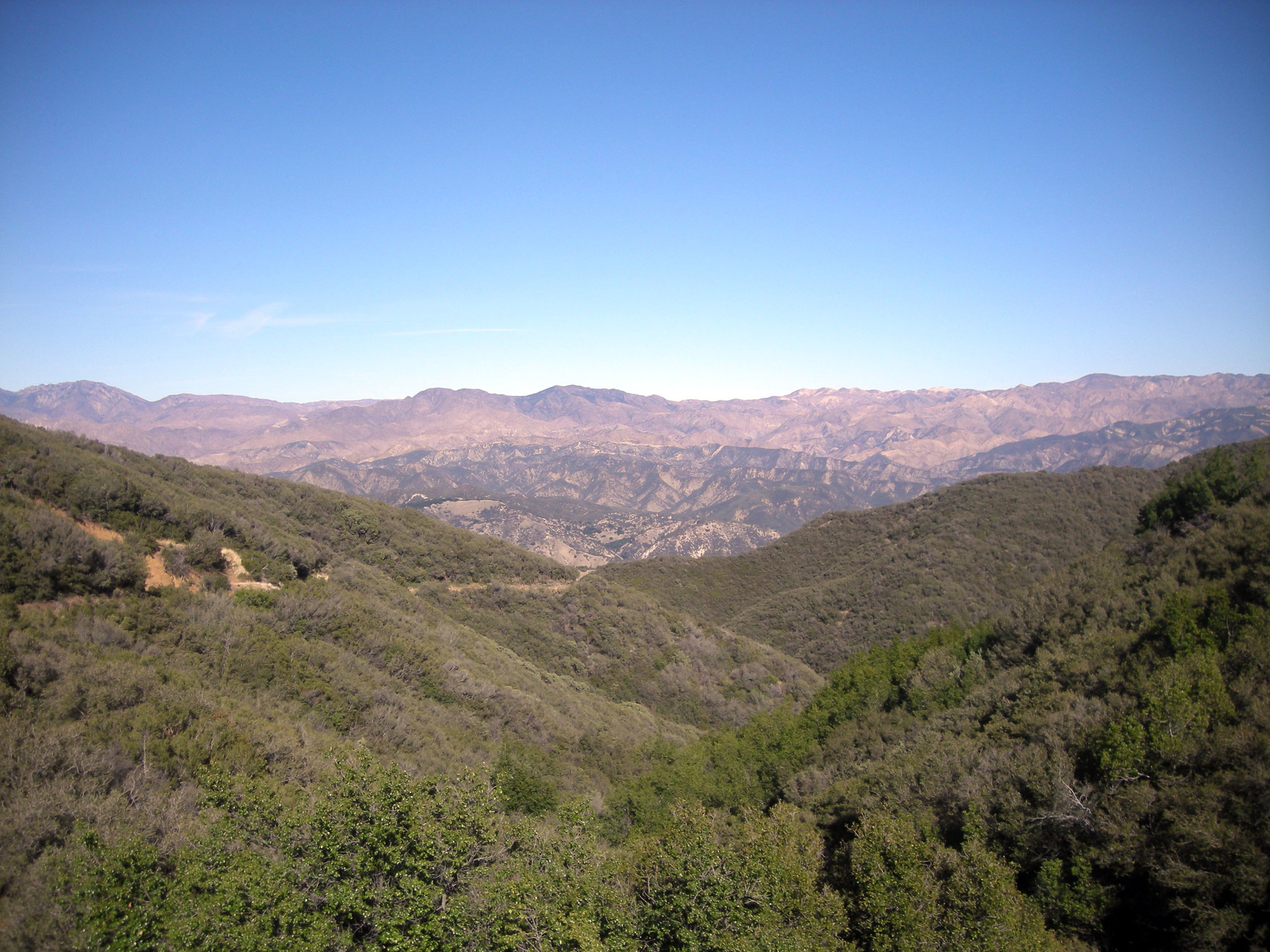 Los Padres National Forest.jpg