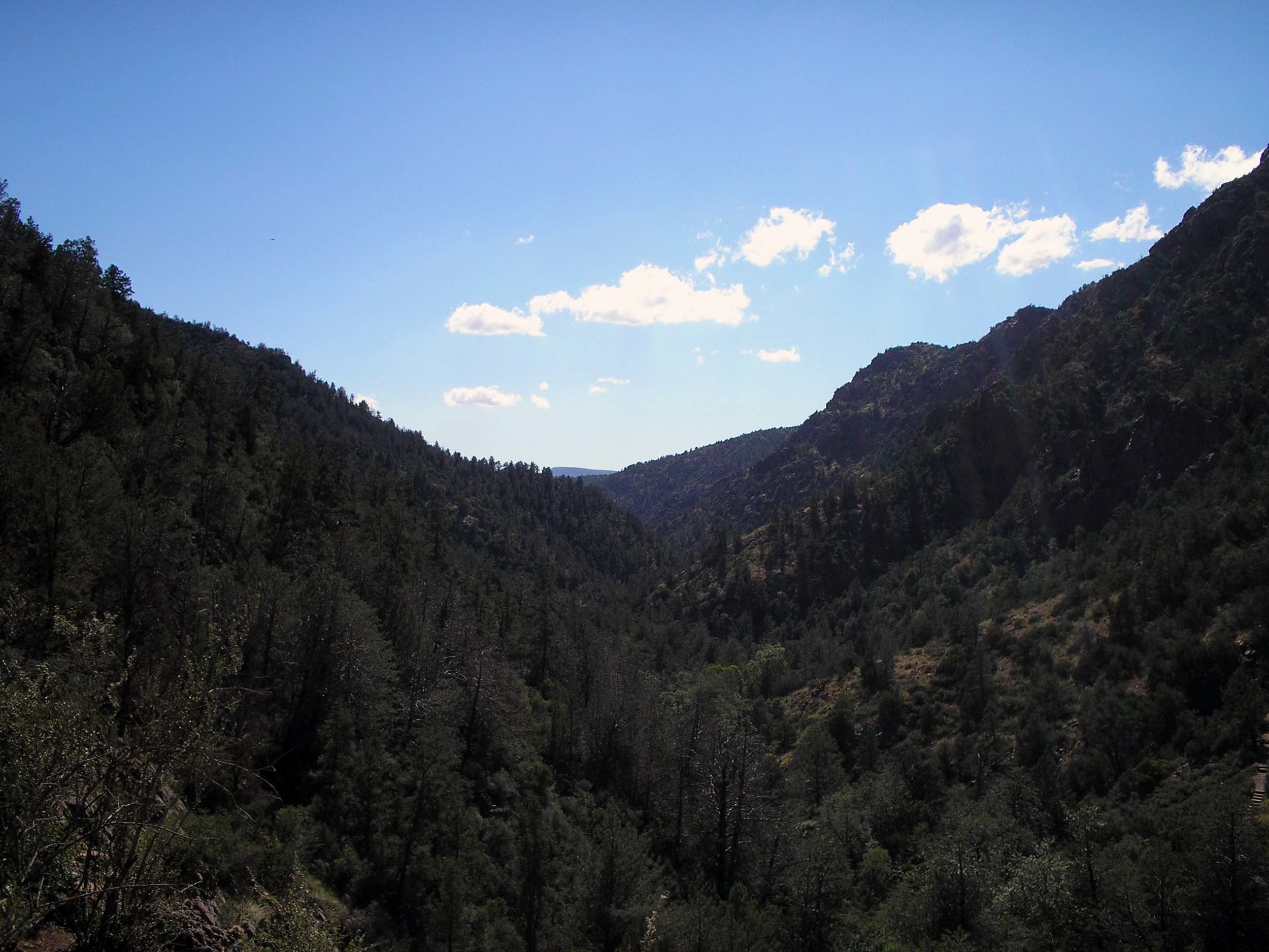 tonto national forest 2.jpg