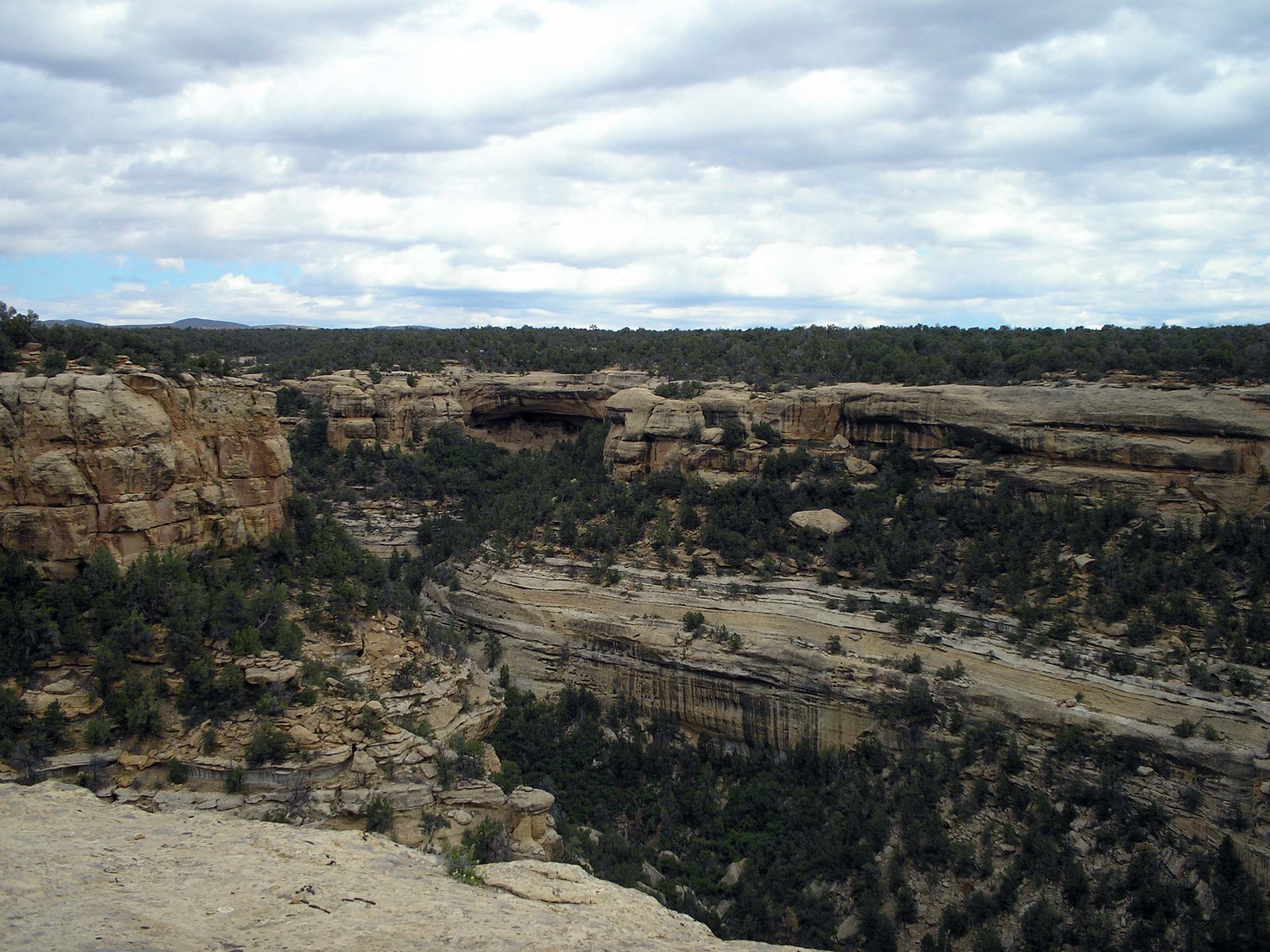 mesa verde canyon.jpg