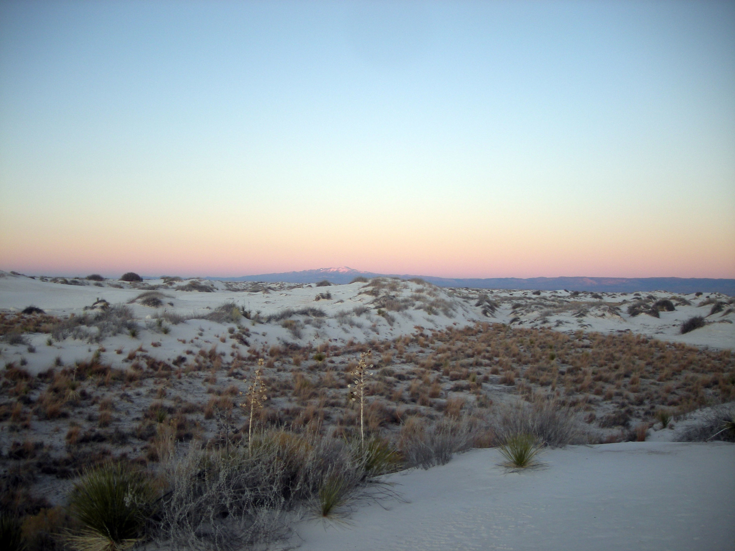New Mexico sand dunes.jpg