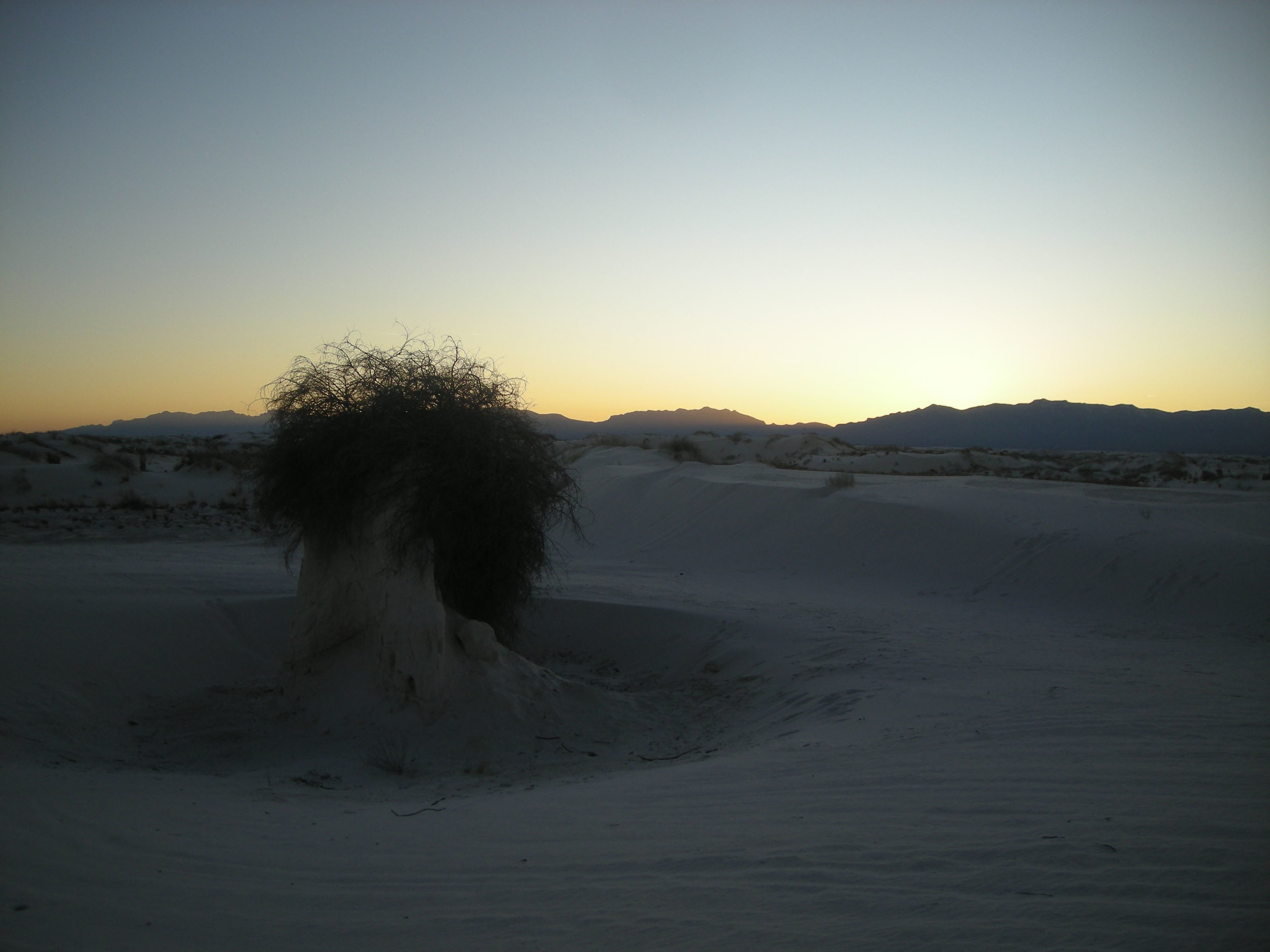 White Sands National Monument.jpg