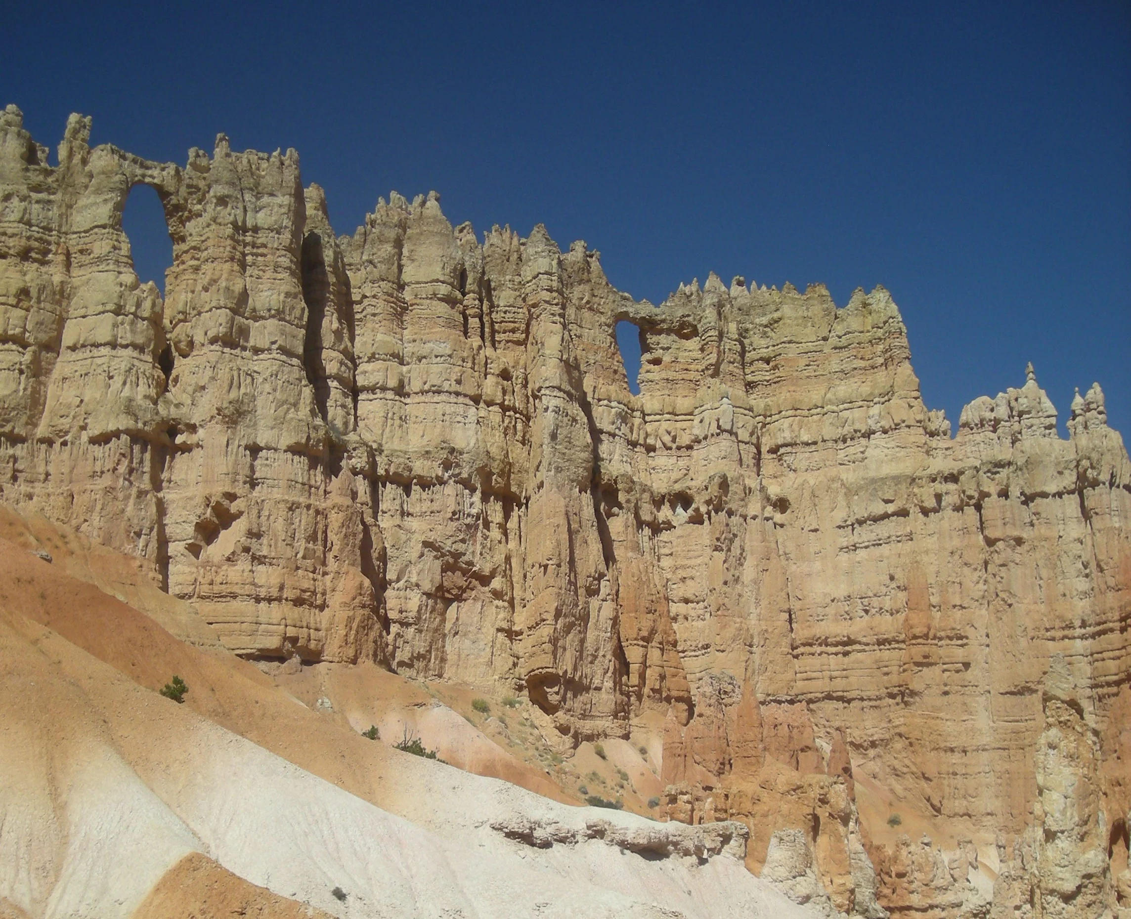 awesome Bryce.jpg