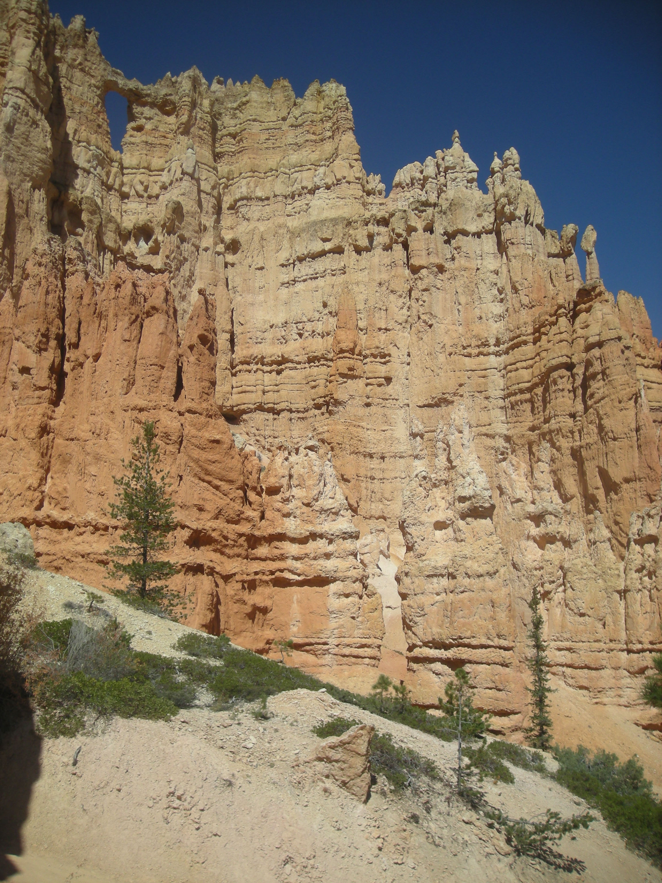 below the hoodoos.jpg