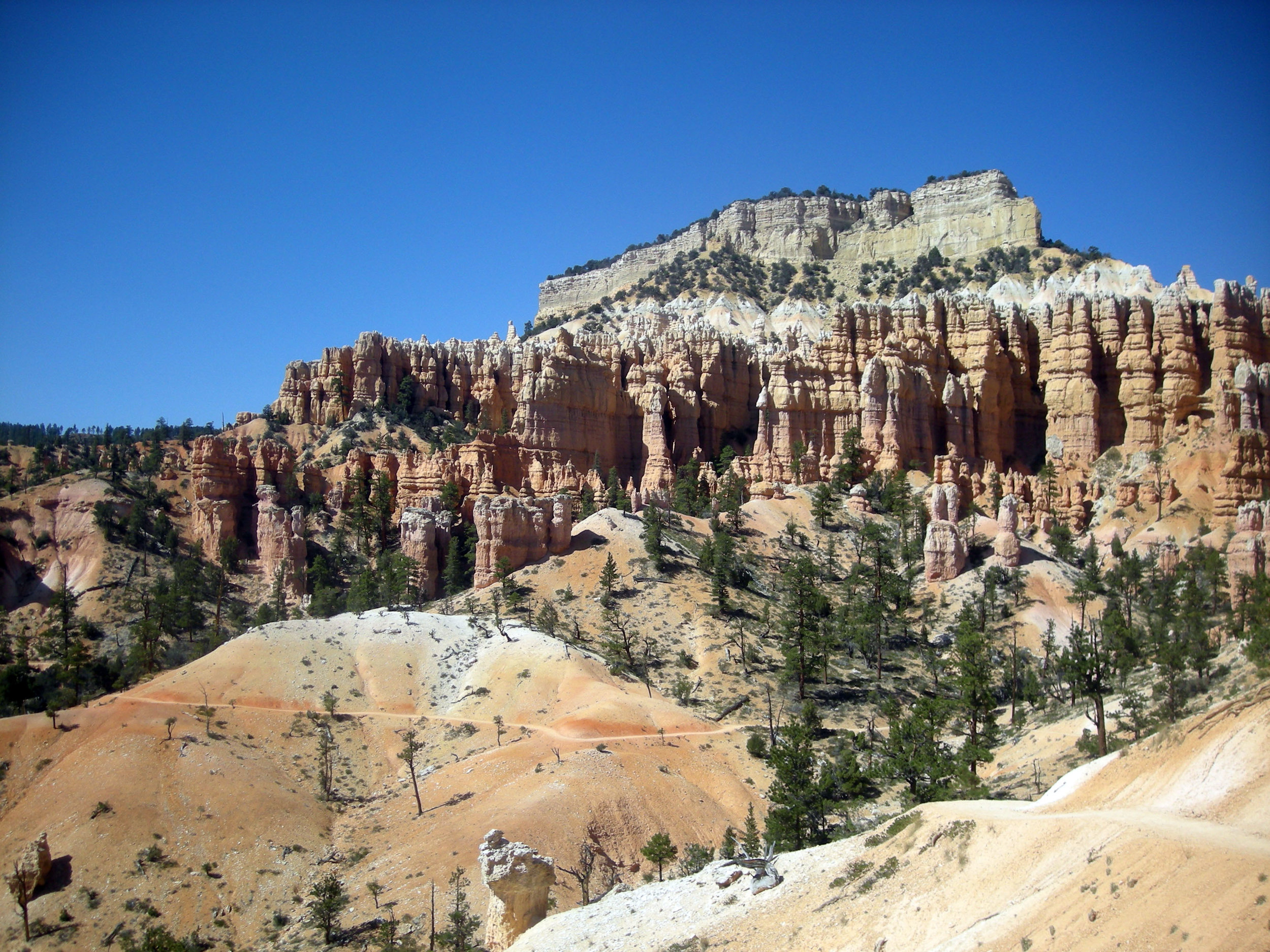 Bryce Canyon hoodoos.jpg