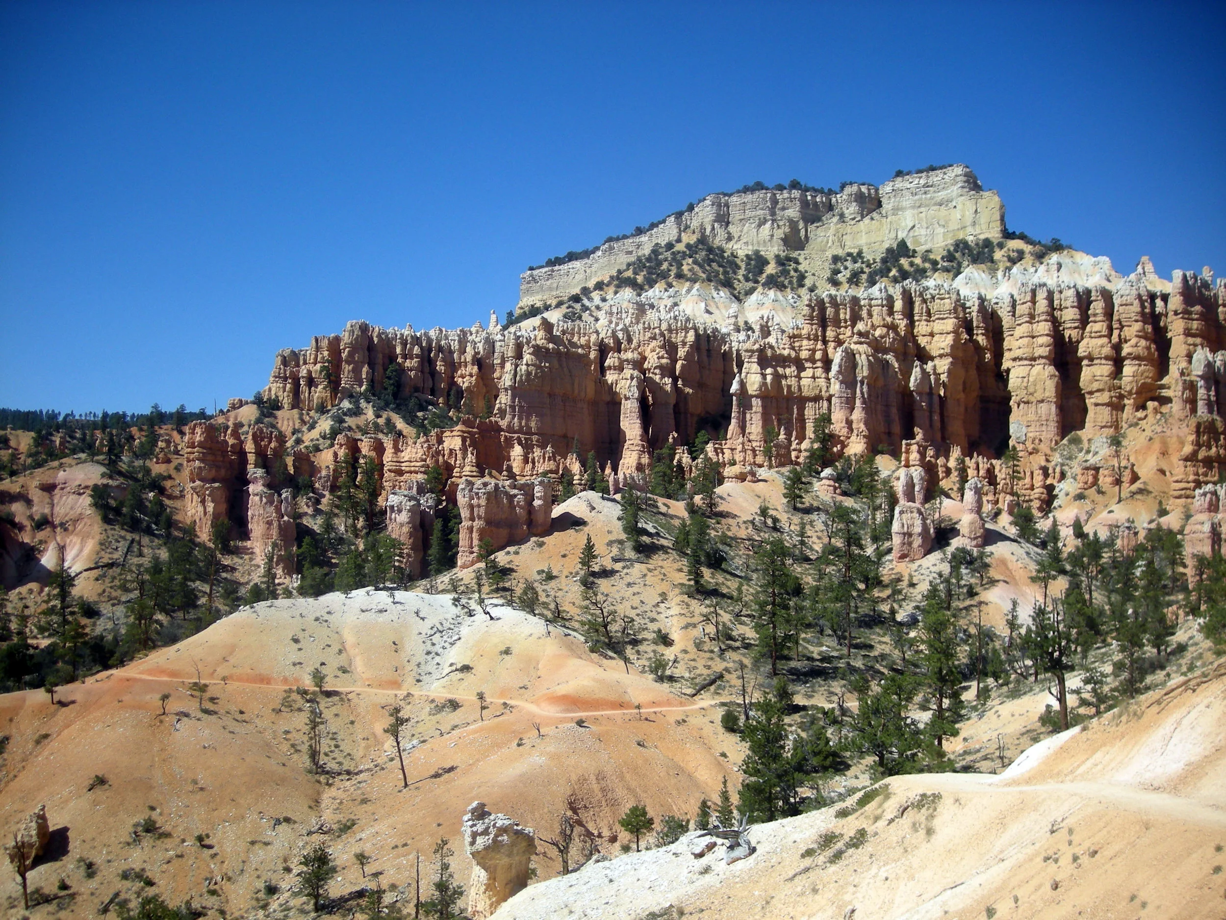 Bryce Canyon hoodoos.jpg