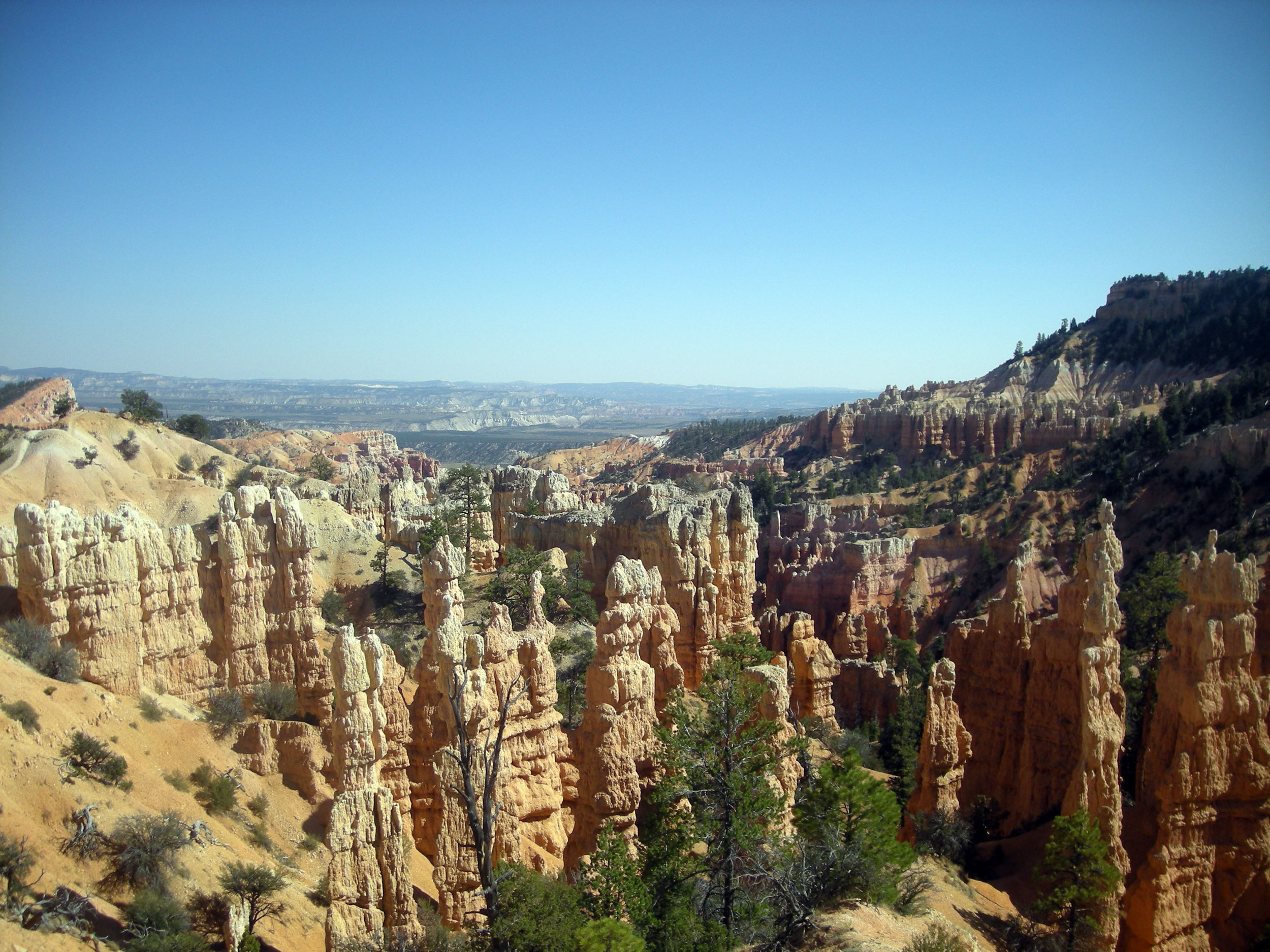 hoodoos on Fairyland trail.jpg