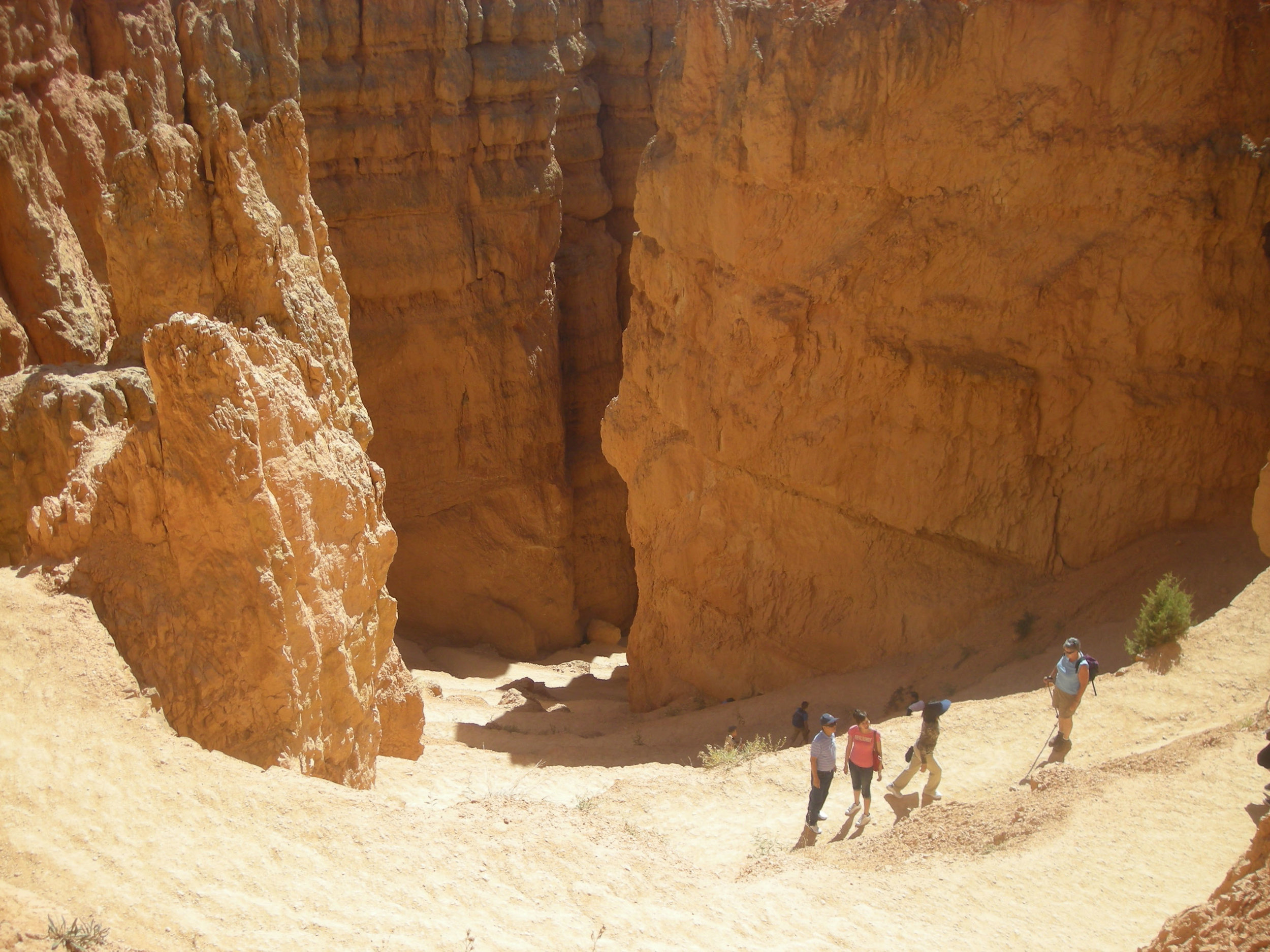 Navajo trail switchbacks.jpg