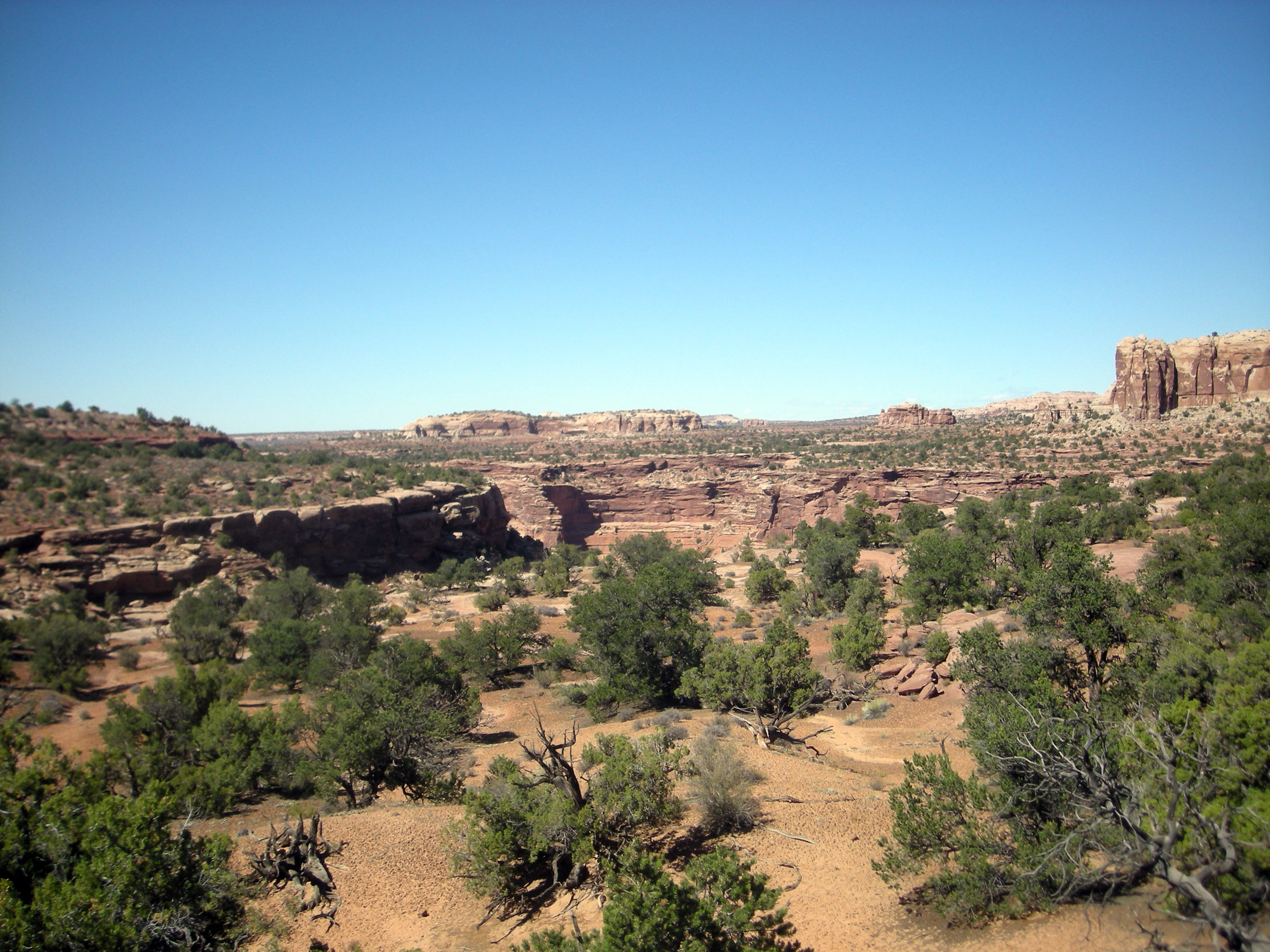 Neck Springs hike.jpg