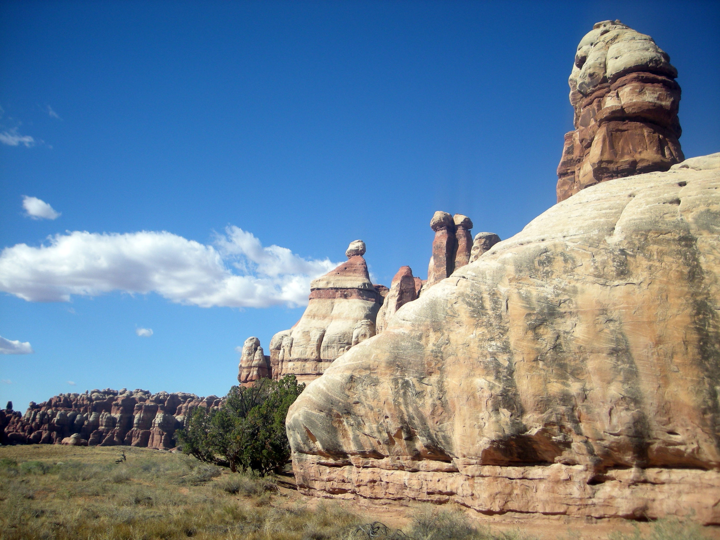 in the valley of the needles.jpg