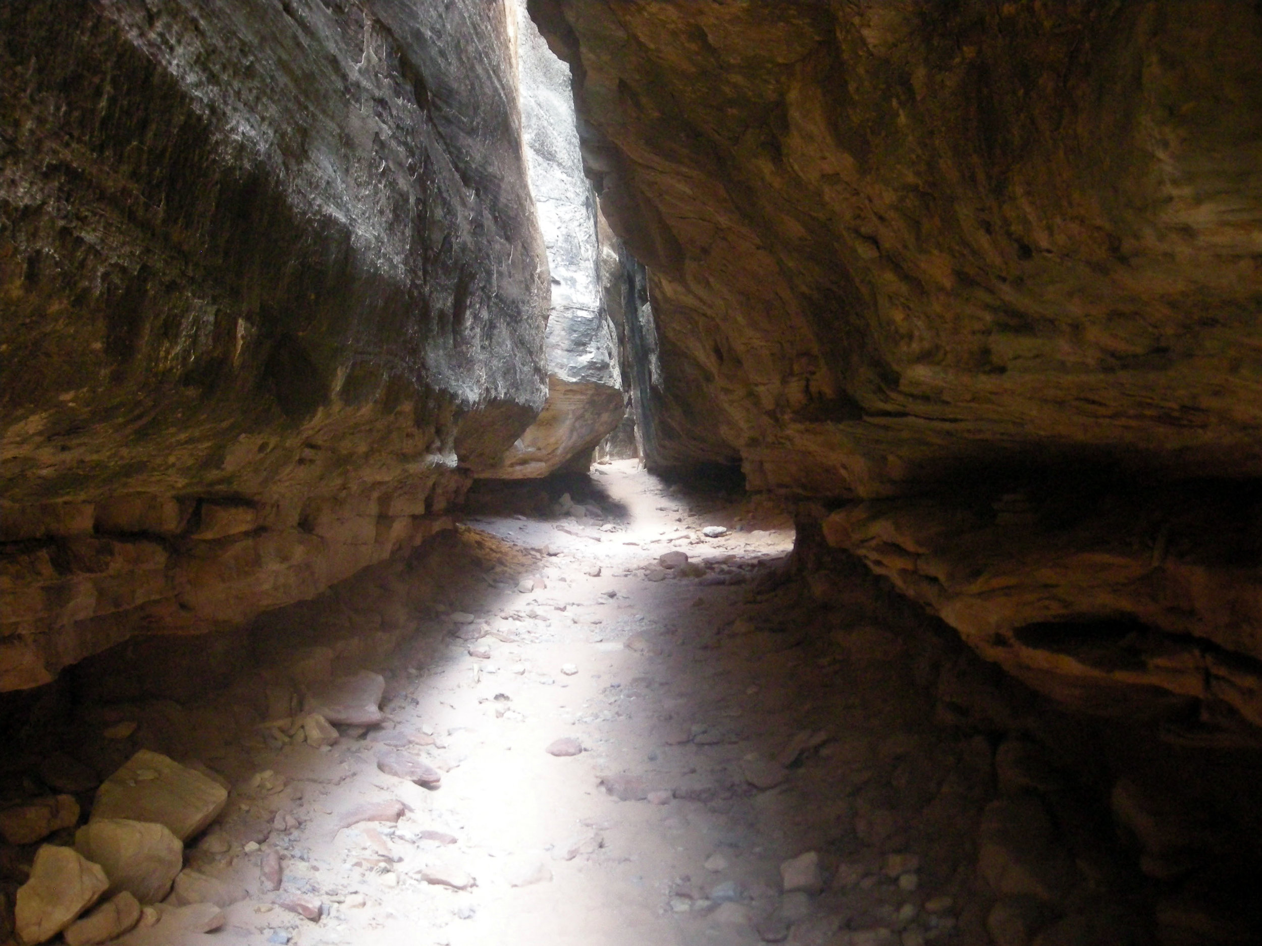 Joint Trail.jpg