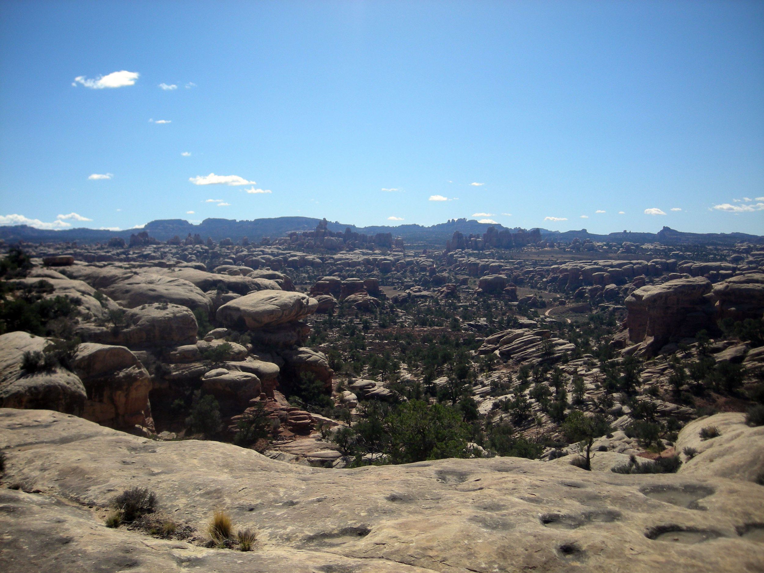 Needles section of Canyonlands.jpg
