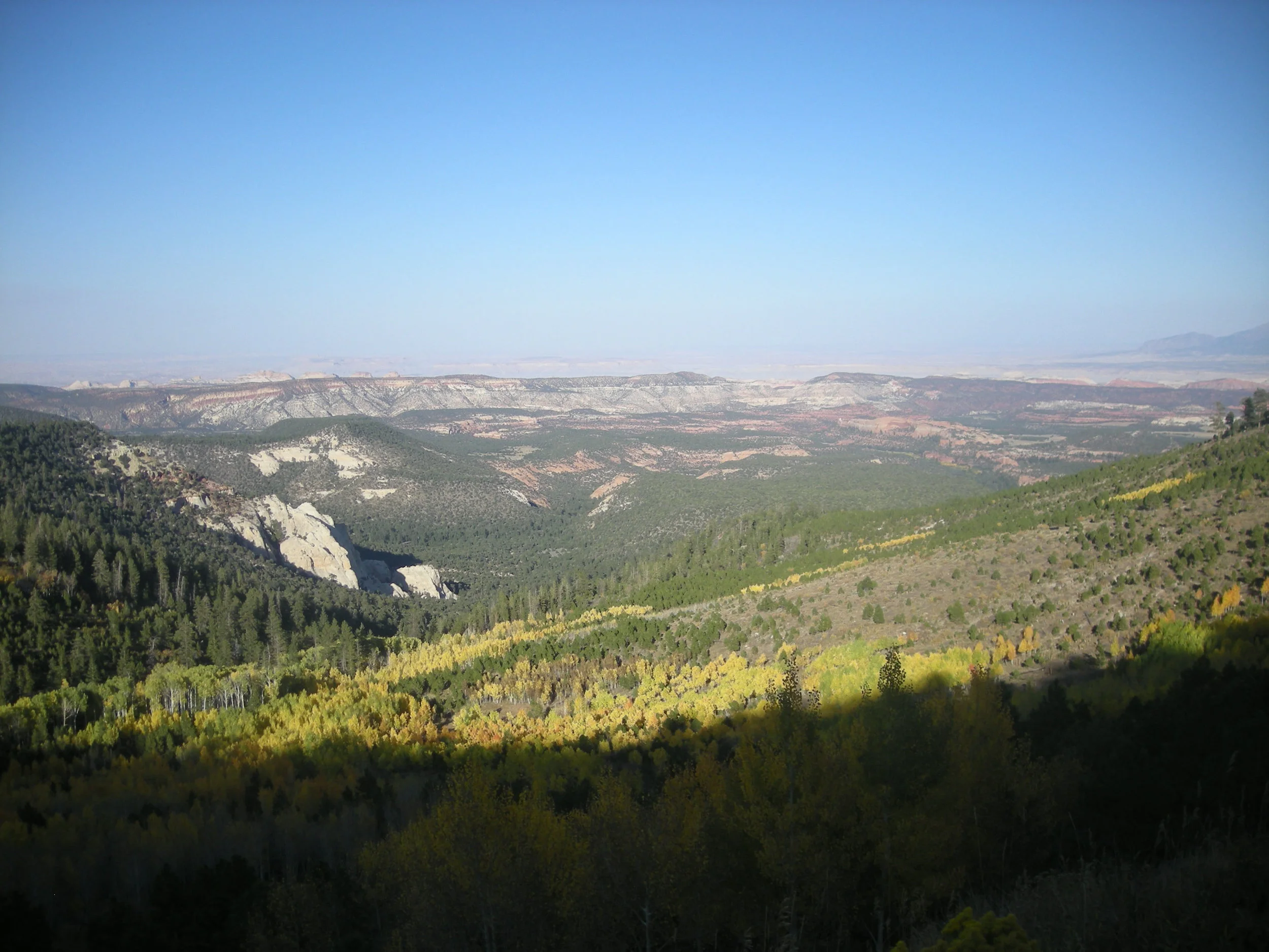 Fall in Utah 3.jpg