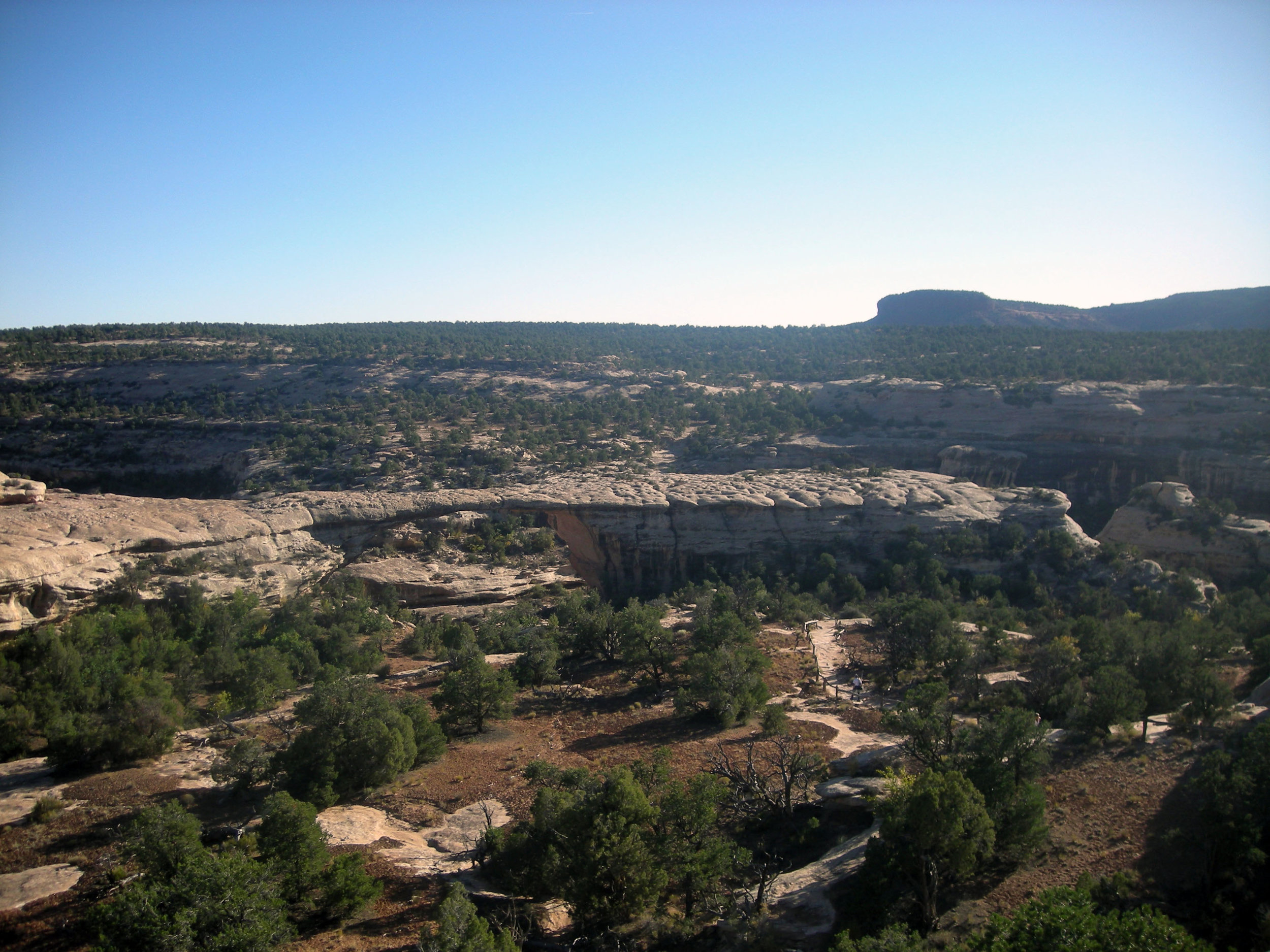 Natural Bridges National Monument.jpg