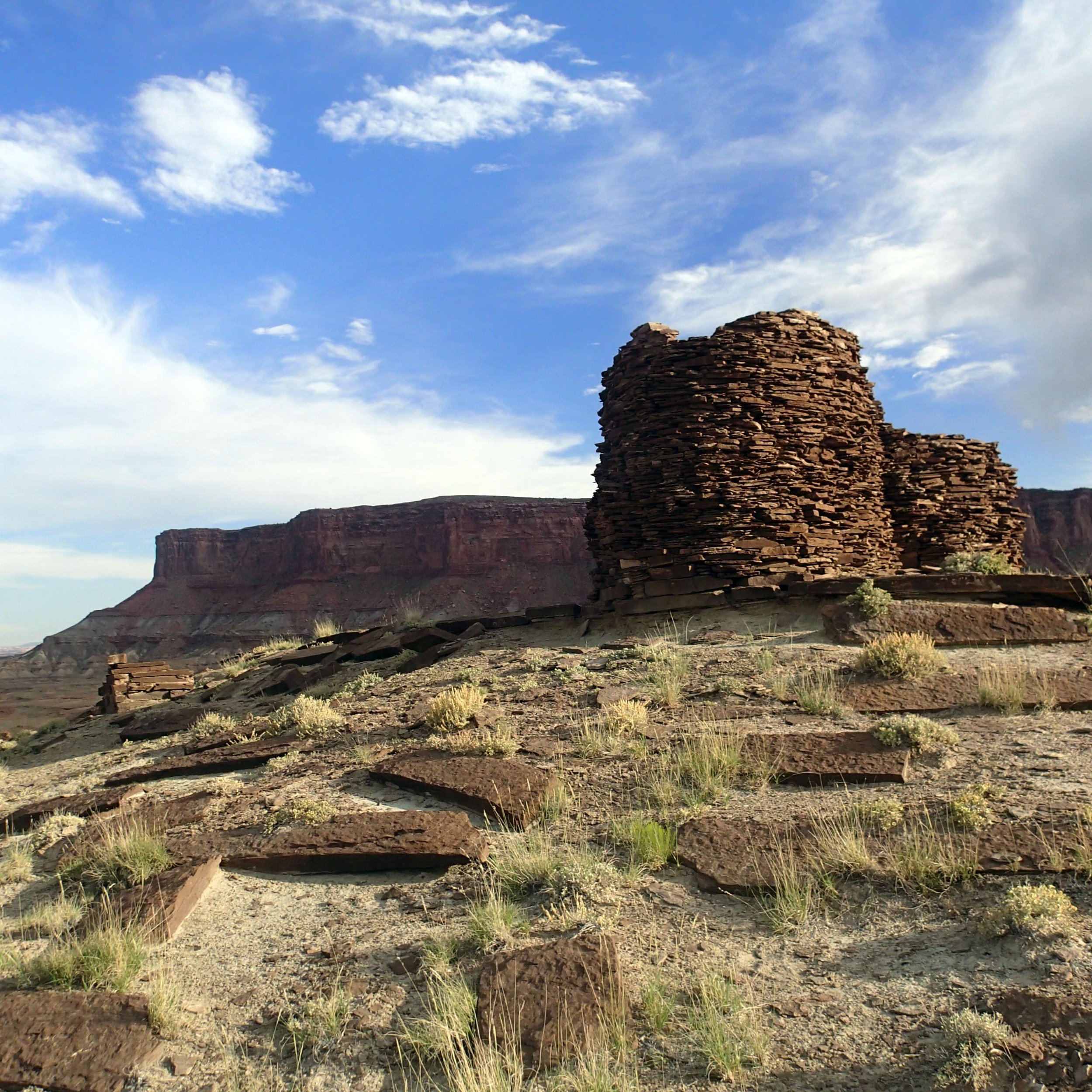 ruin at Fort Bottom.jpg