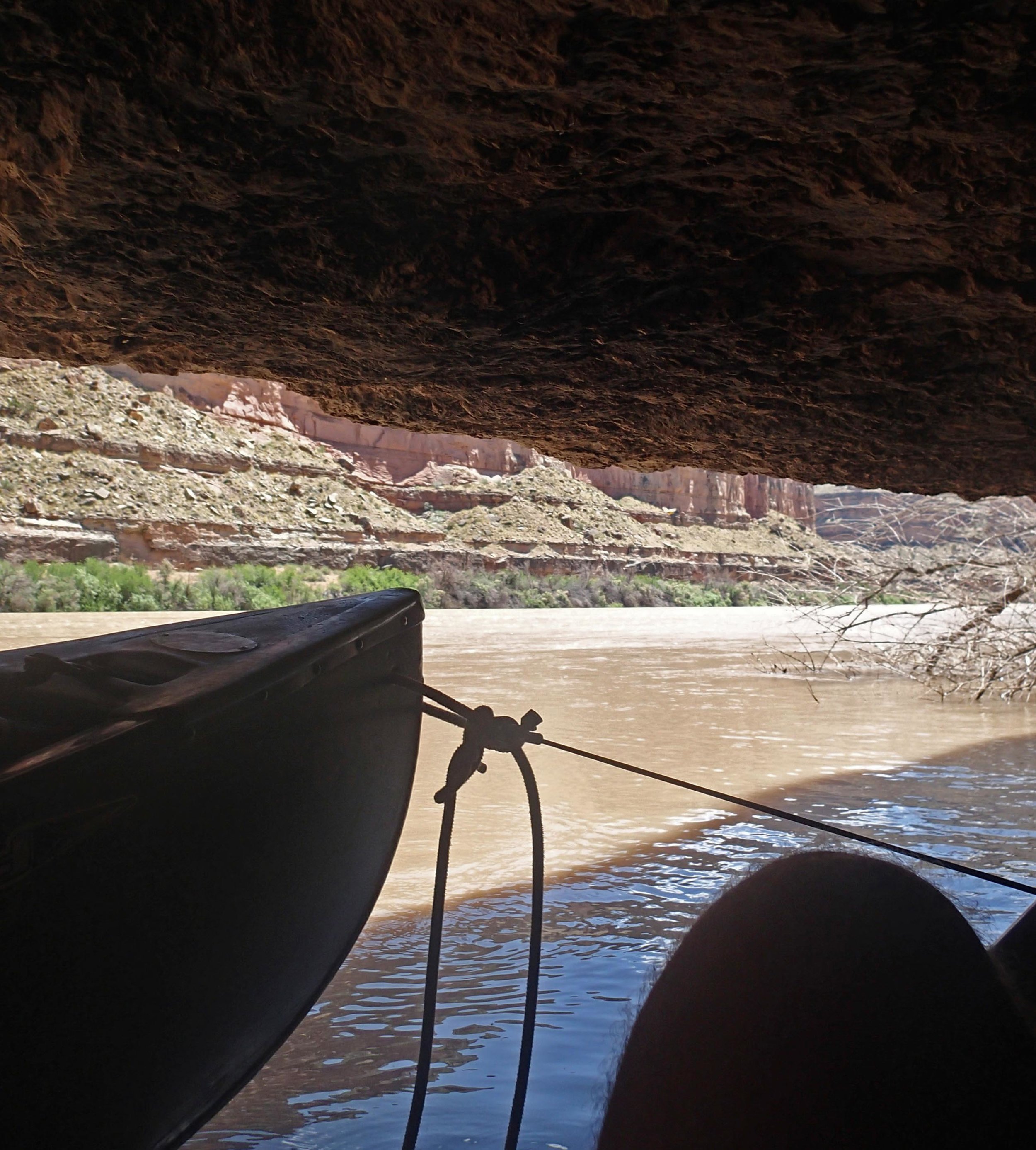 within Tequila Cave.jpg