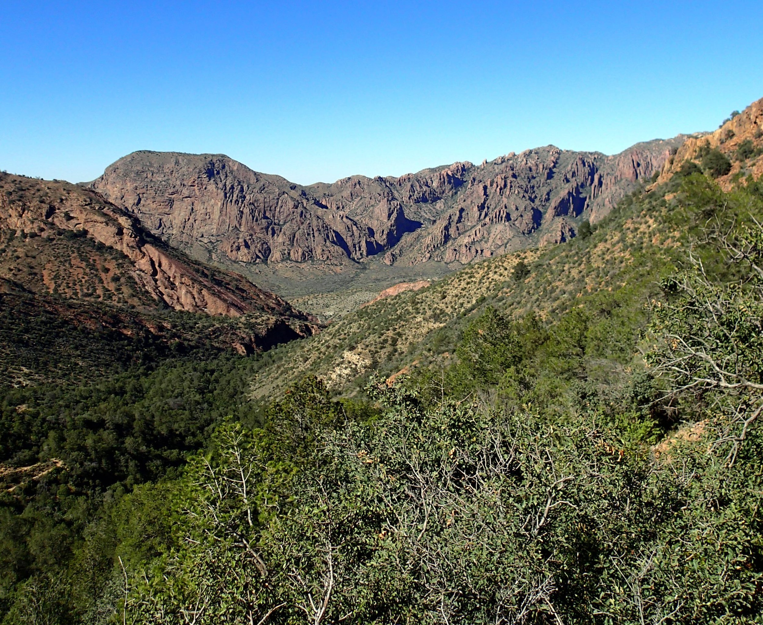 Chisos Basin 10-25-15.jpg