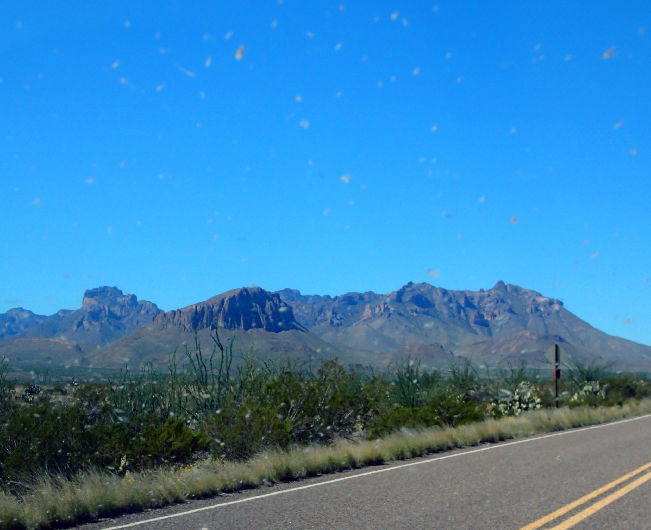 Chisos from the car.jpg