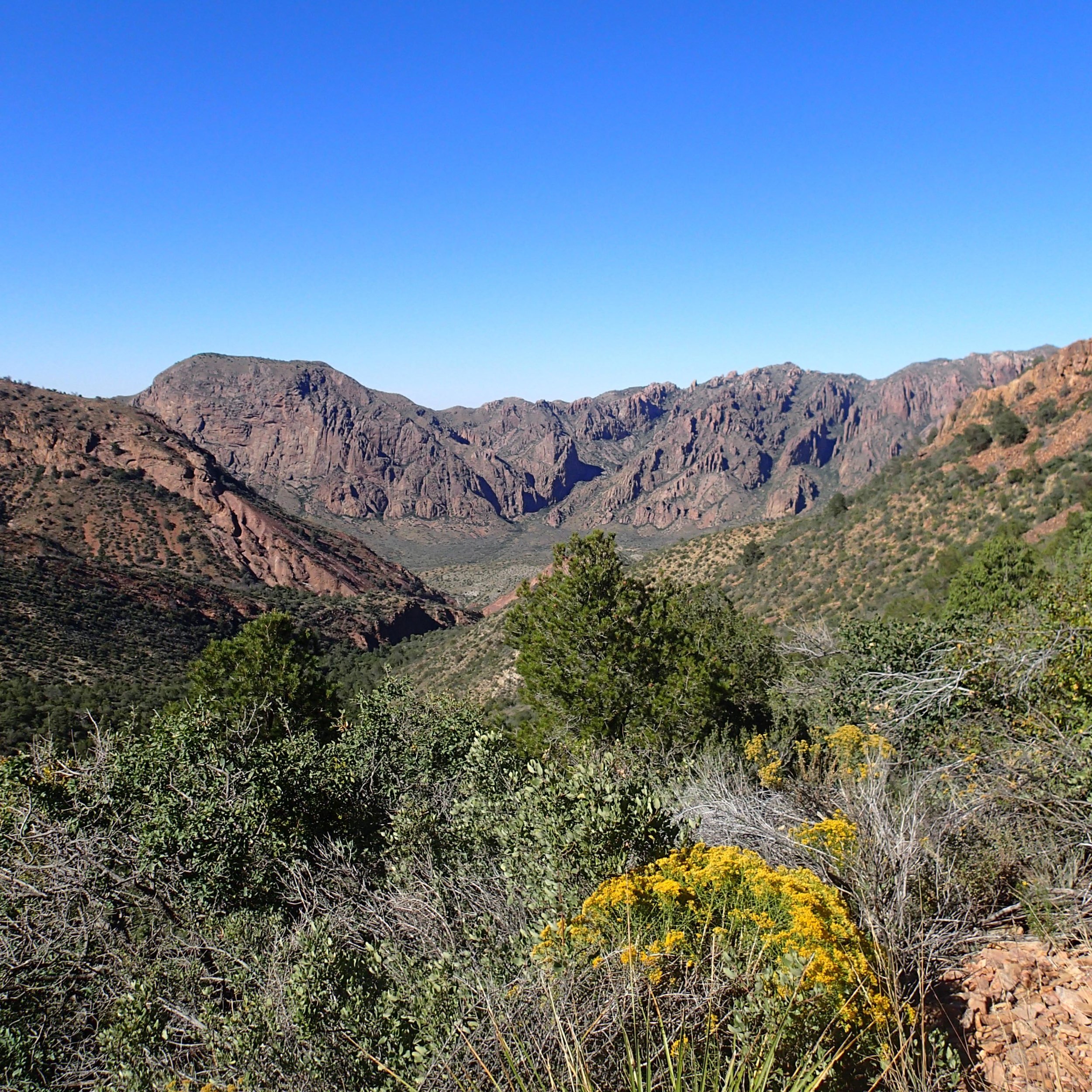 first day in the Chisos.jpg