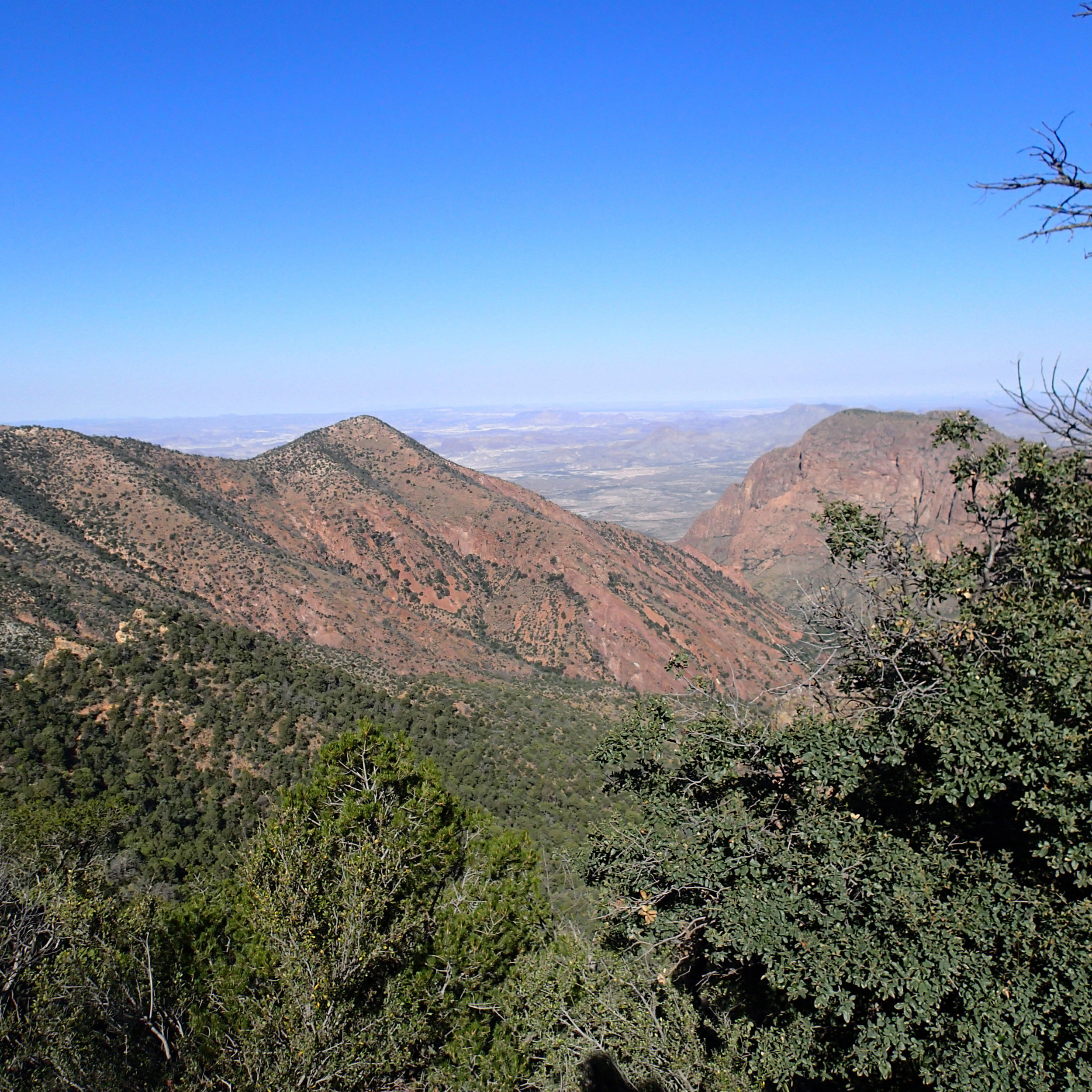 last day in the Chisos.jpg