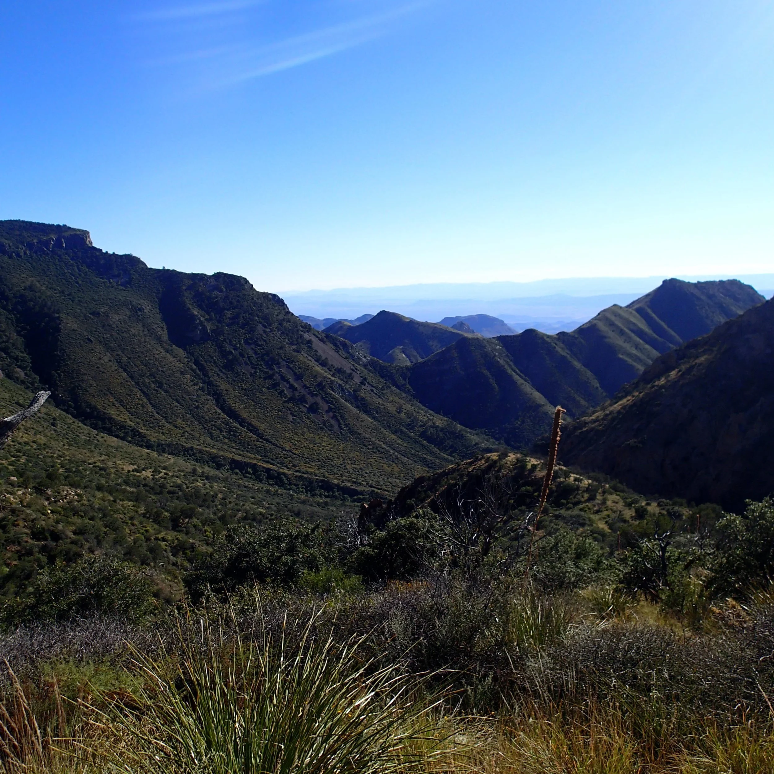 nearing Laguna Meadows.jpg