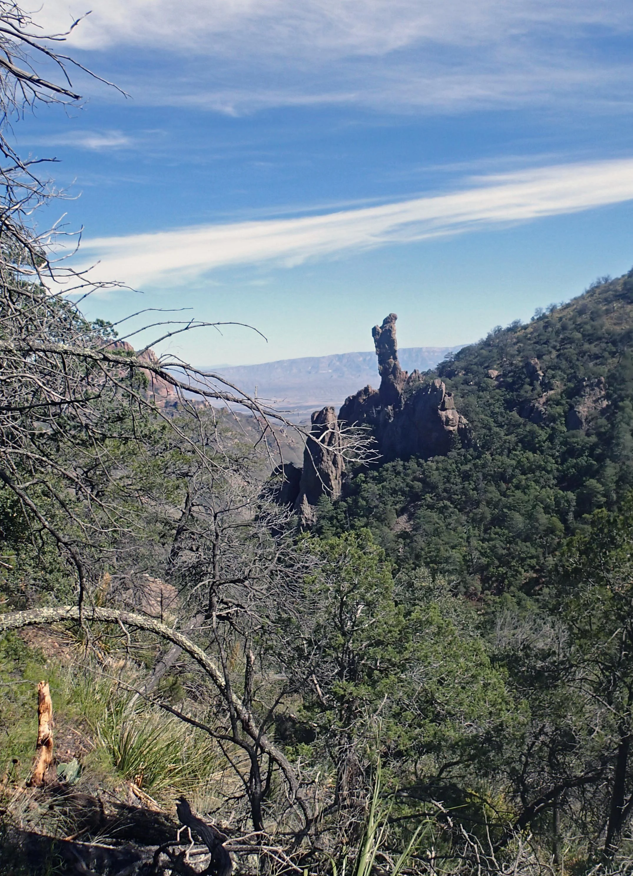 PA261946.jpg