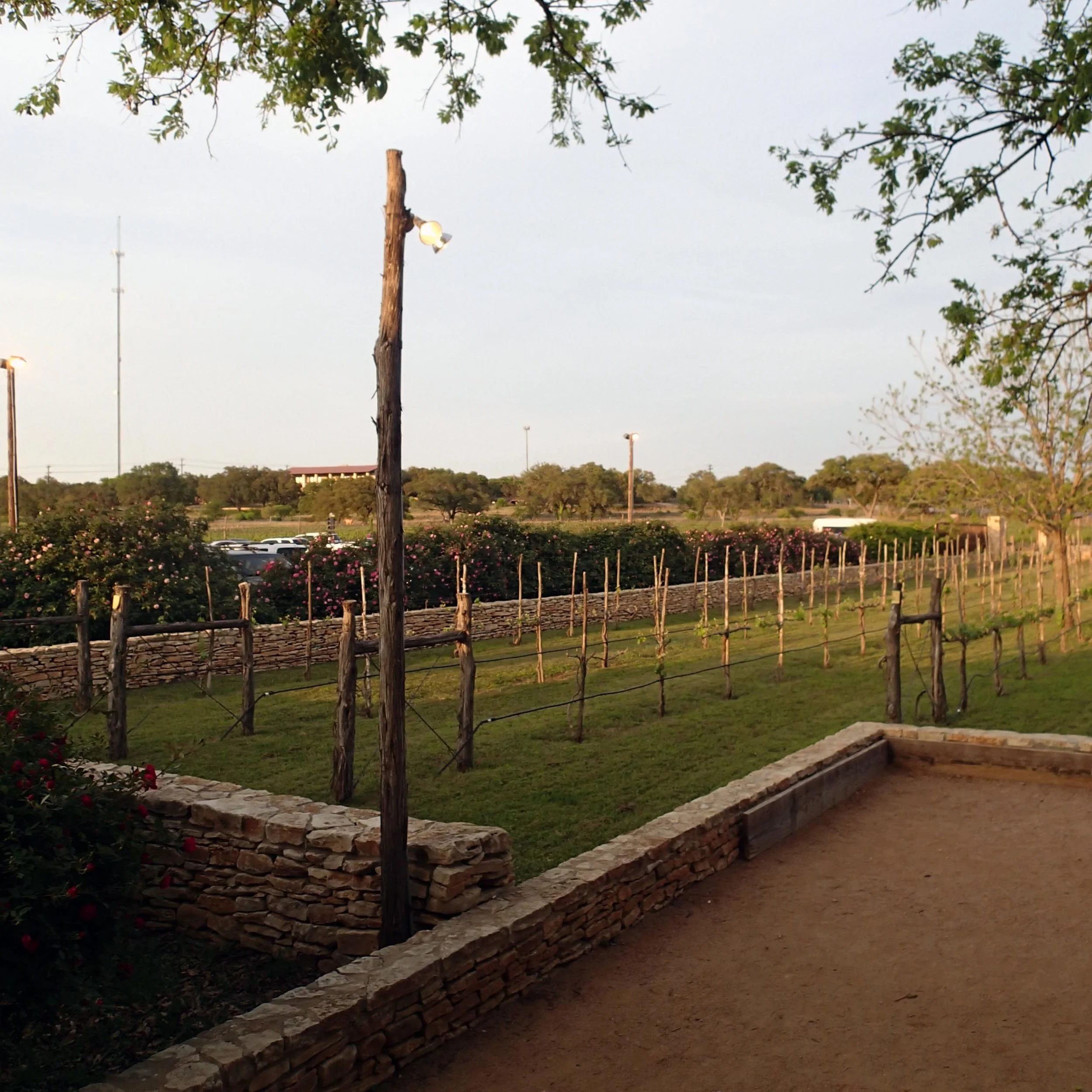 Salt Lick vineyard.jpg