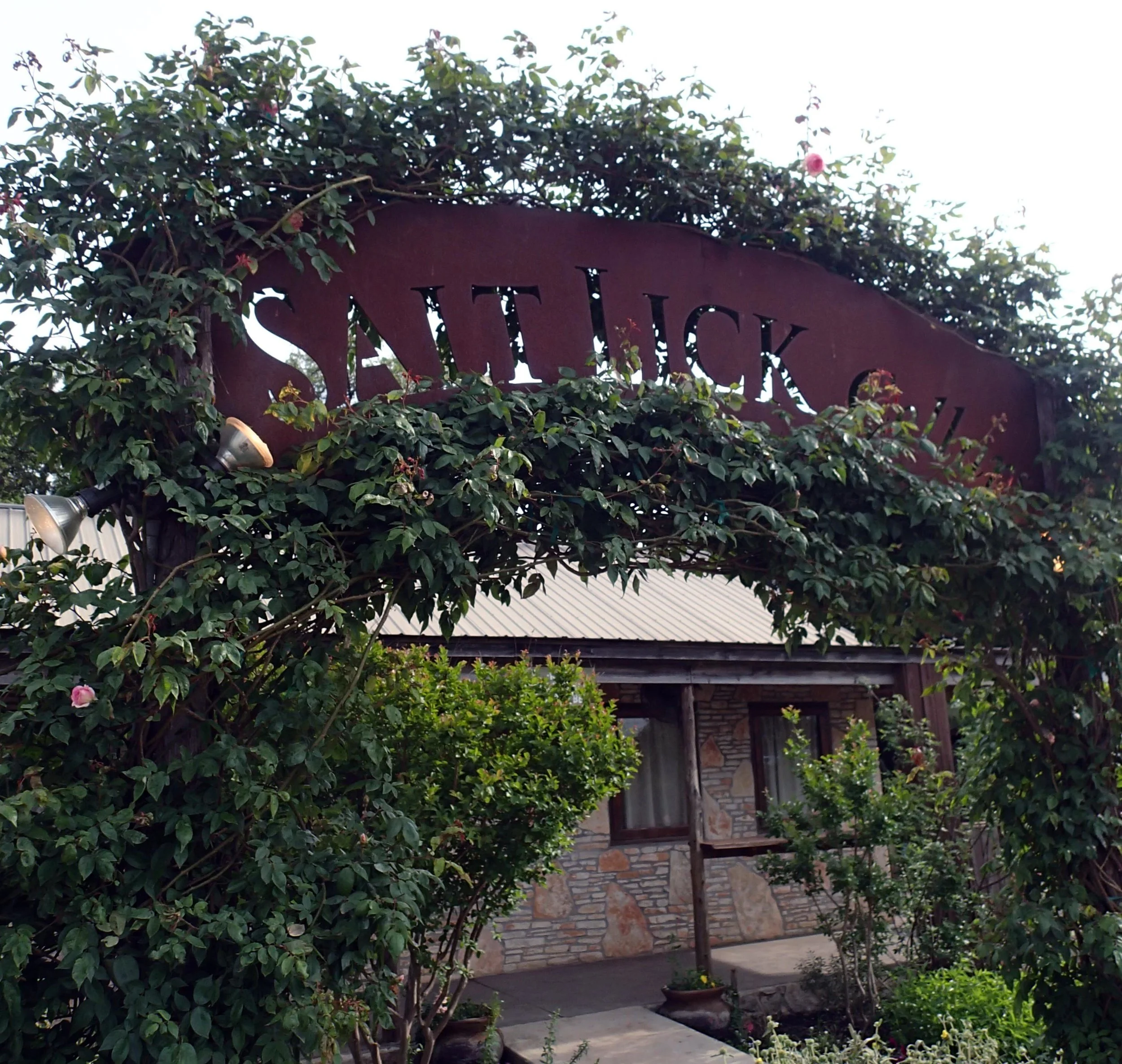Salt Lick.jpg