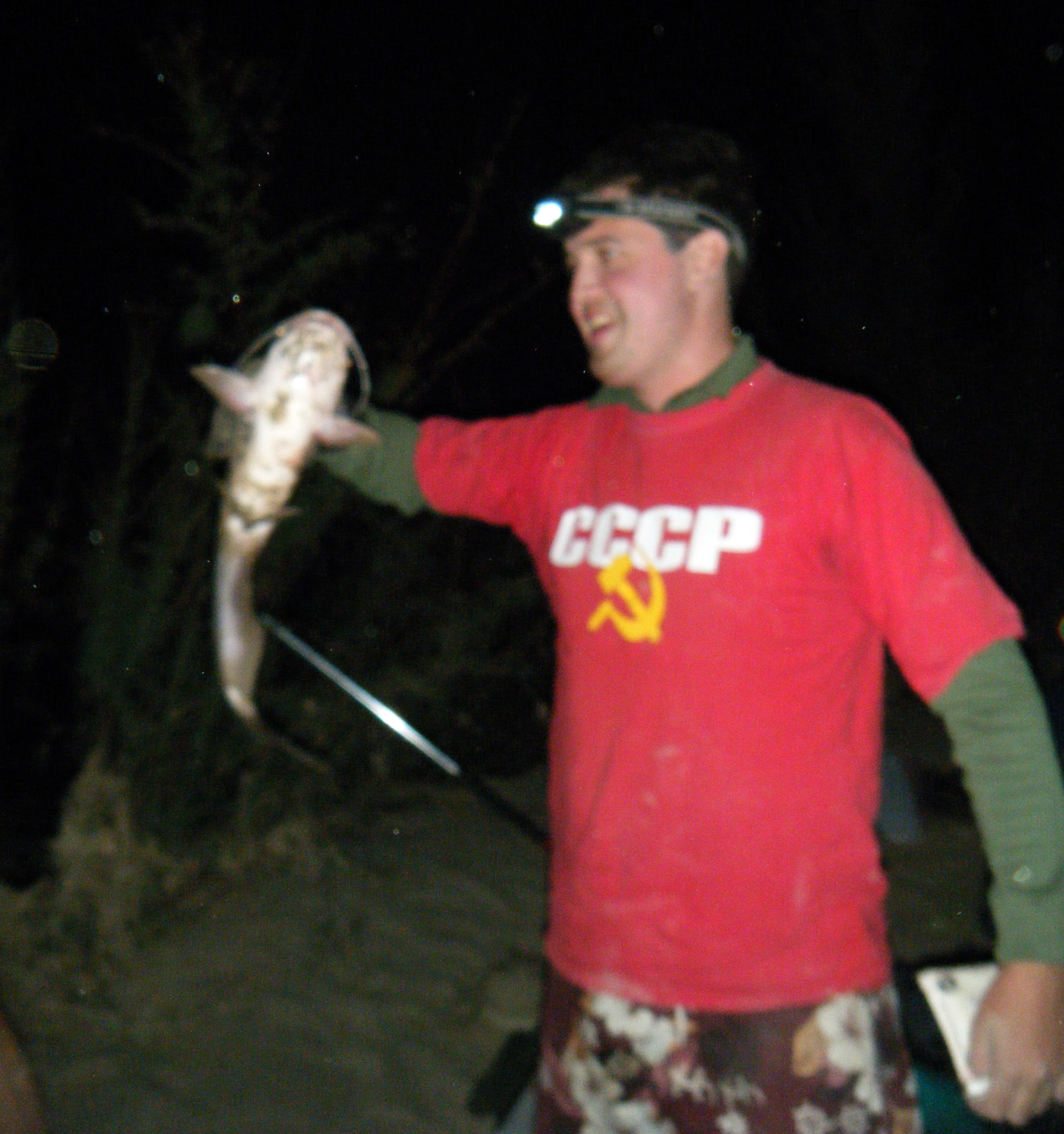 blurry catfish shot.jpg