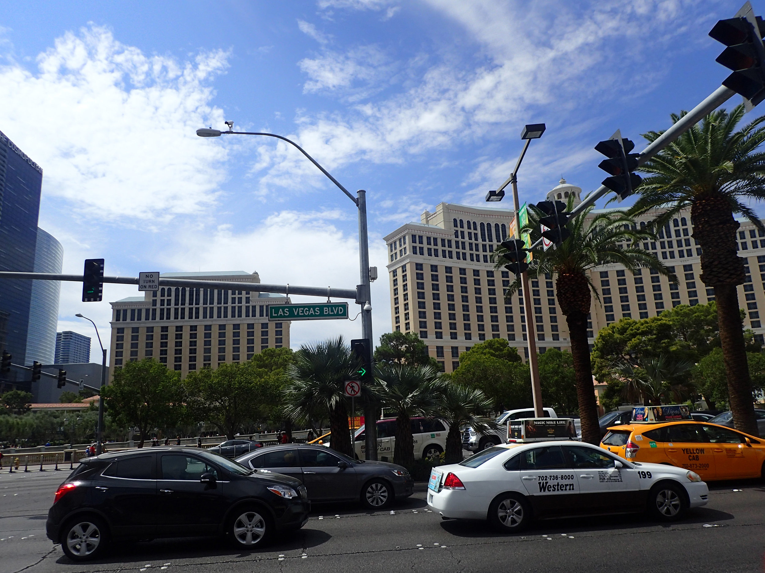 Las Vegas Blvd copy.jpg