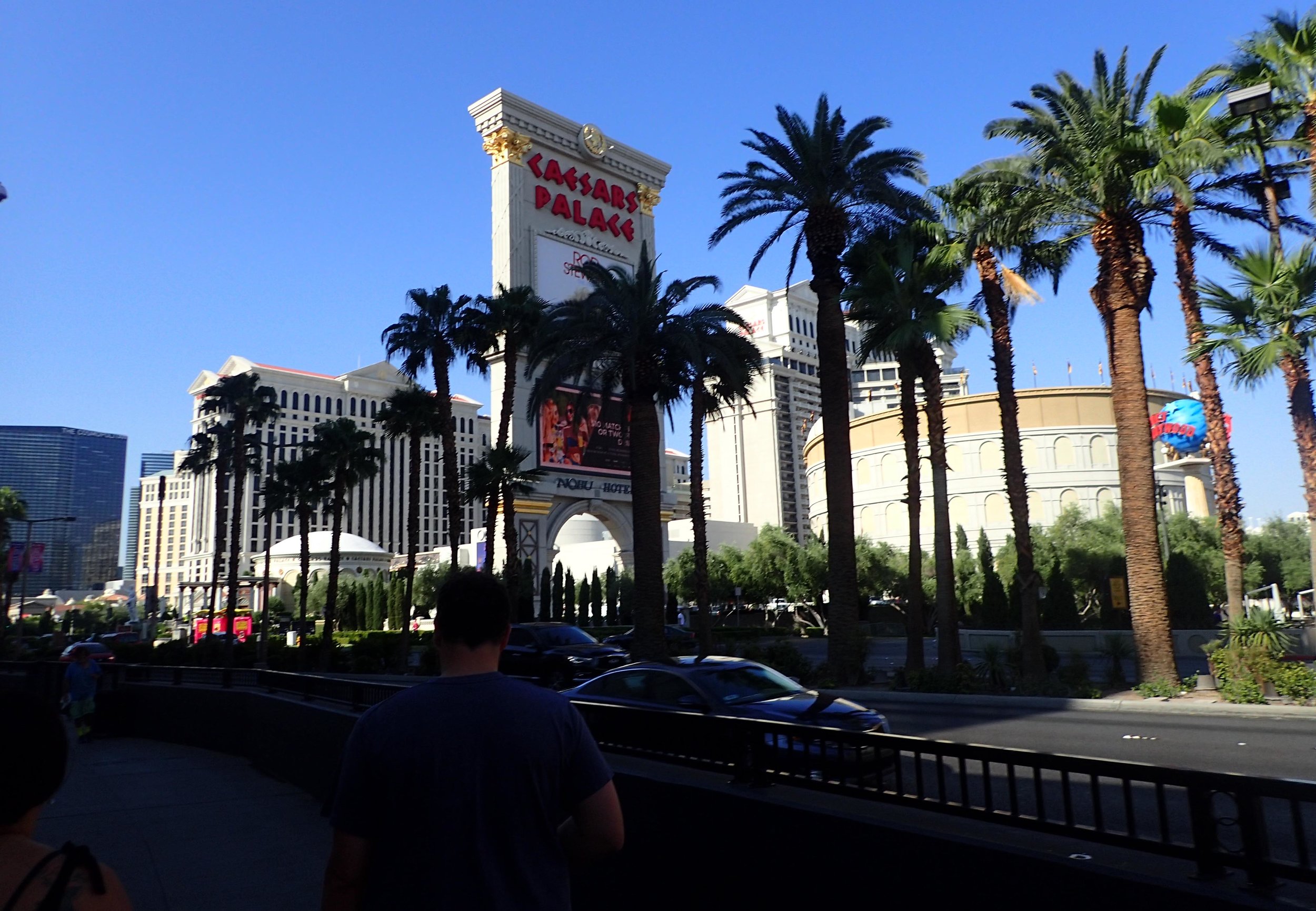 morning on the strip.jpg