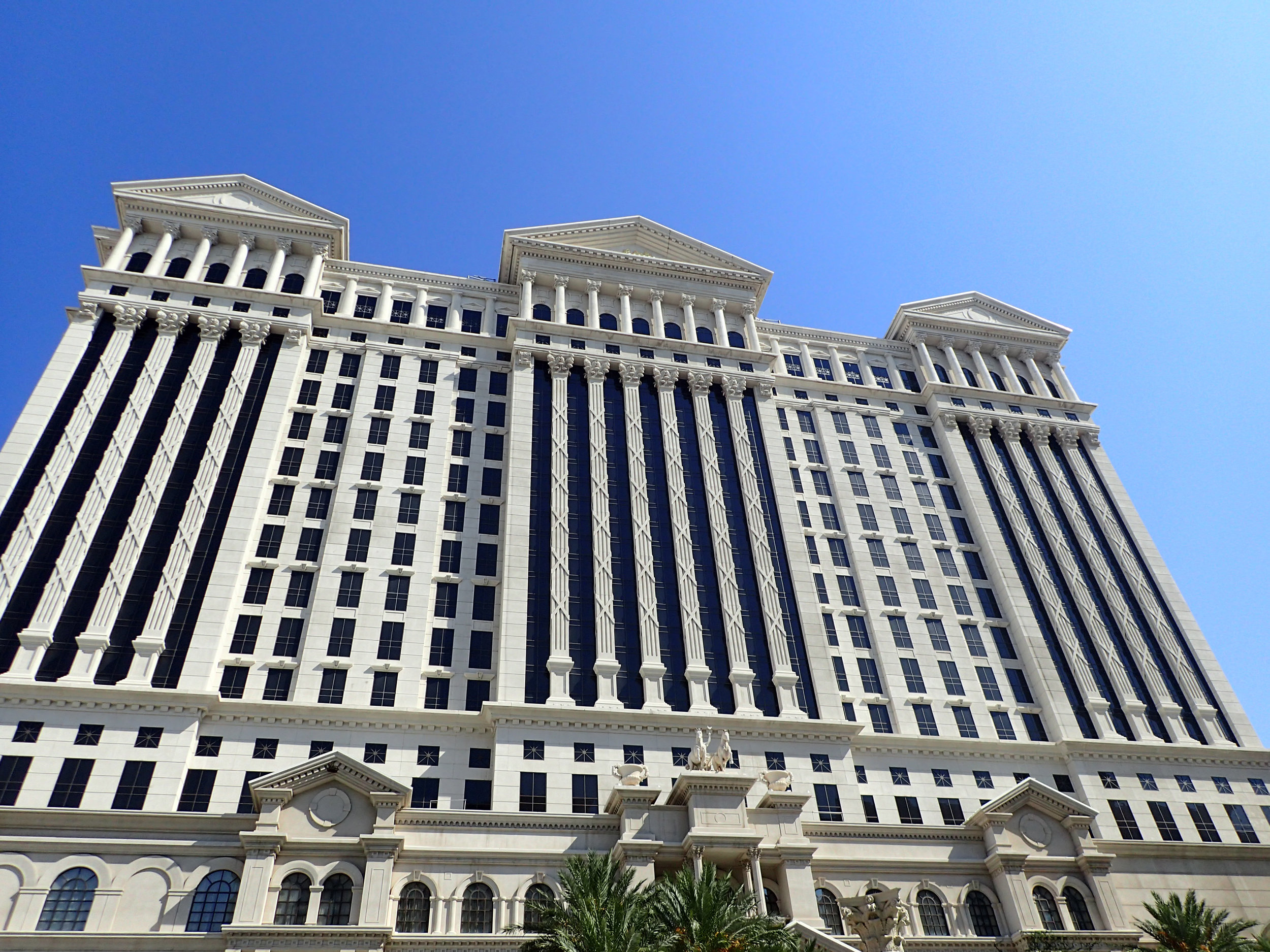 view from the pool.jpg