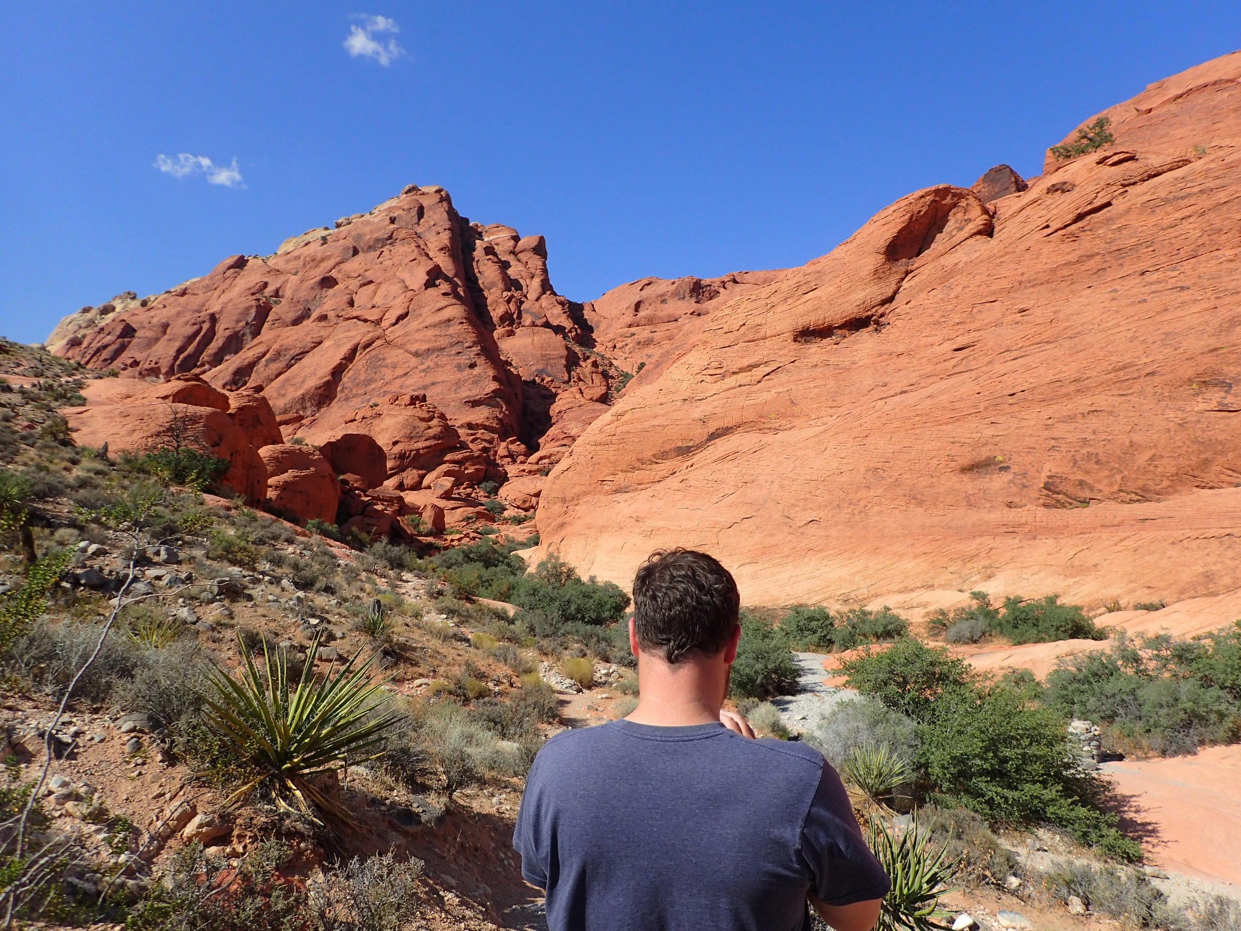 Jason at Red Rocks.jpg