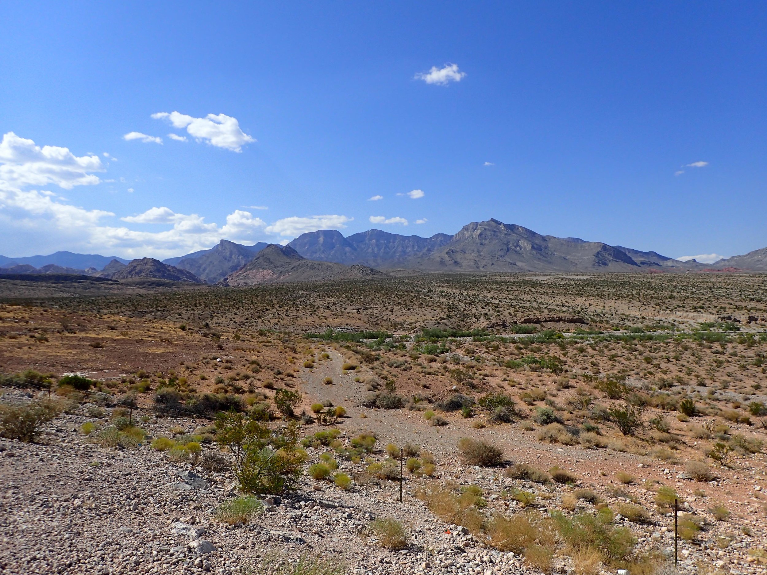 Mohave Desert.jpg