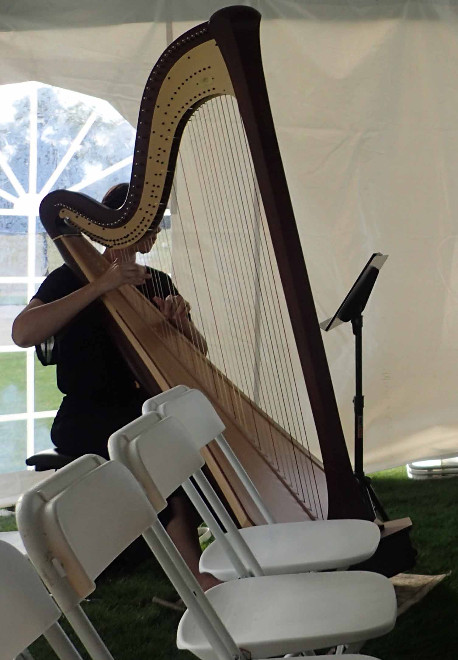 harpist.jpg