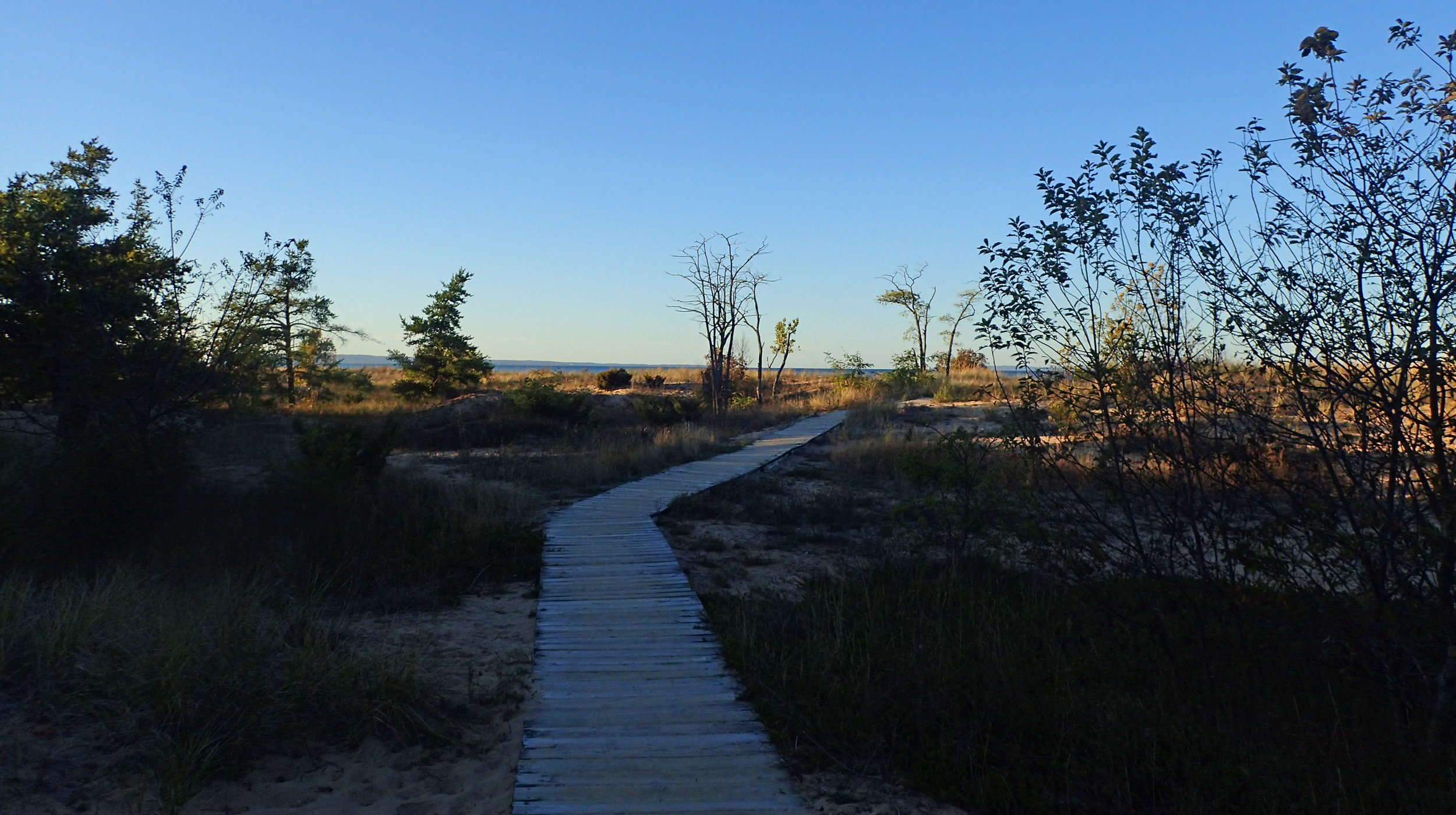 beach boardwalk.jpg