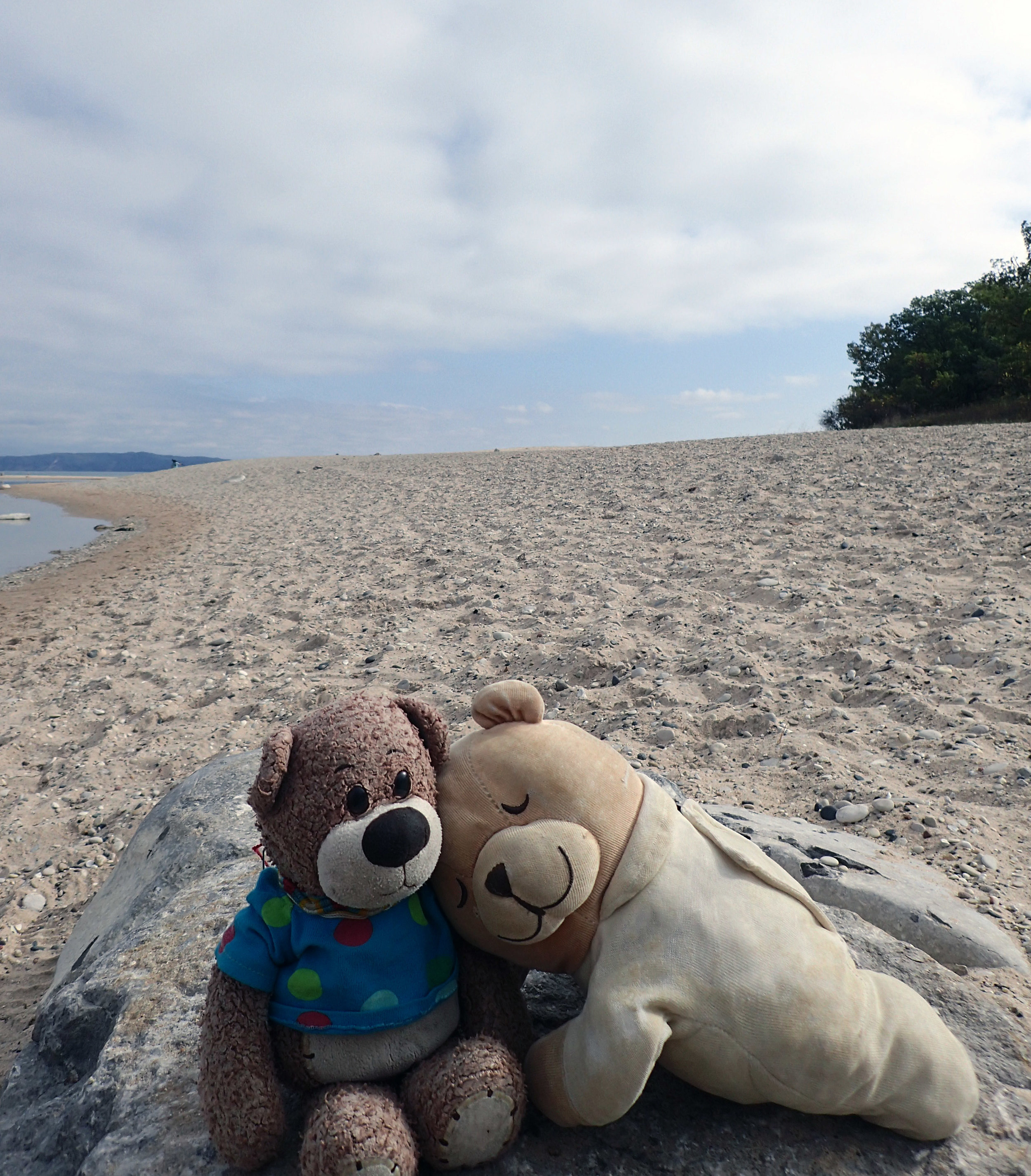 bearbies at Platte River.jpg