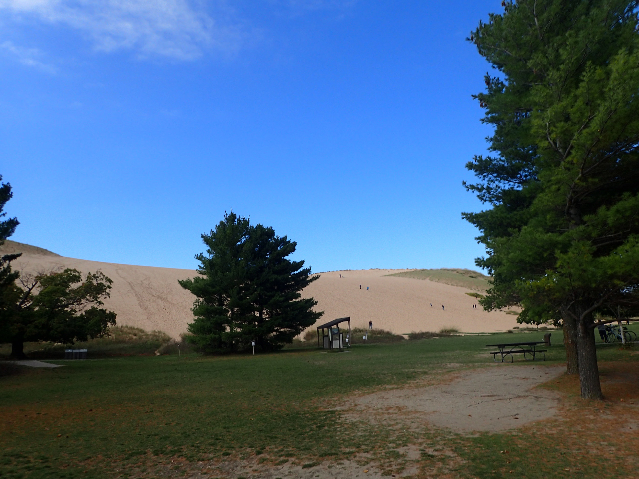 dune from the parking lot.jpg