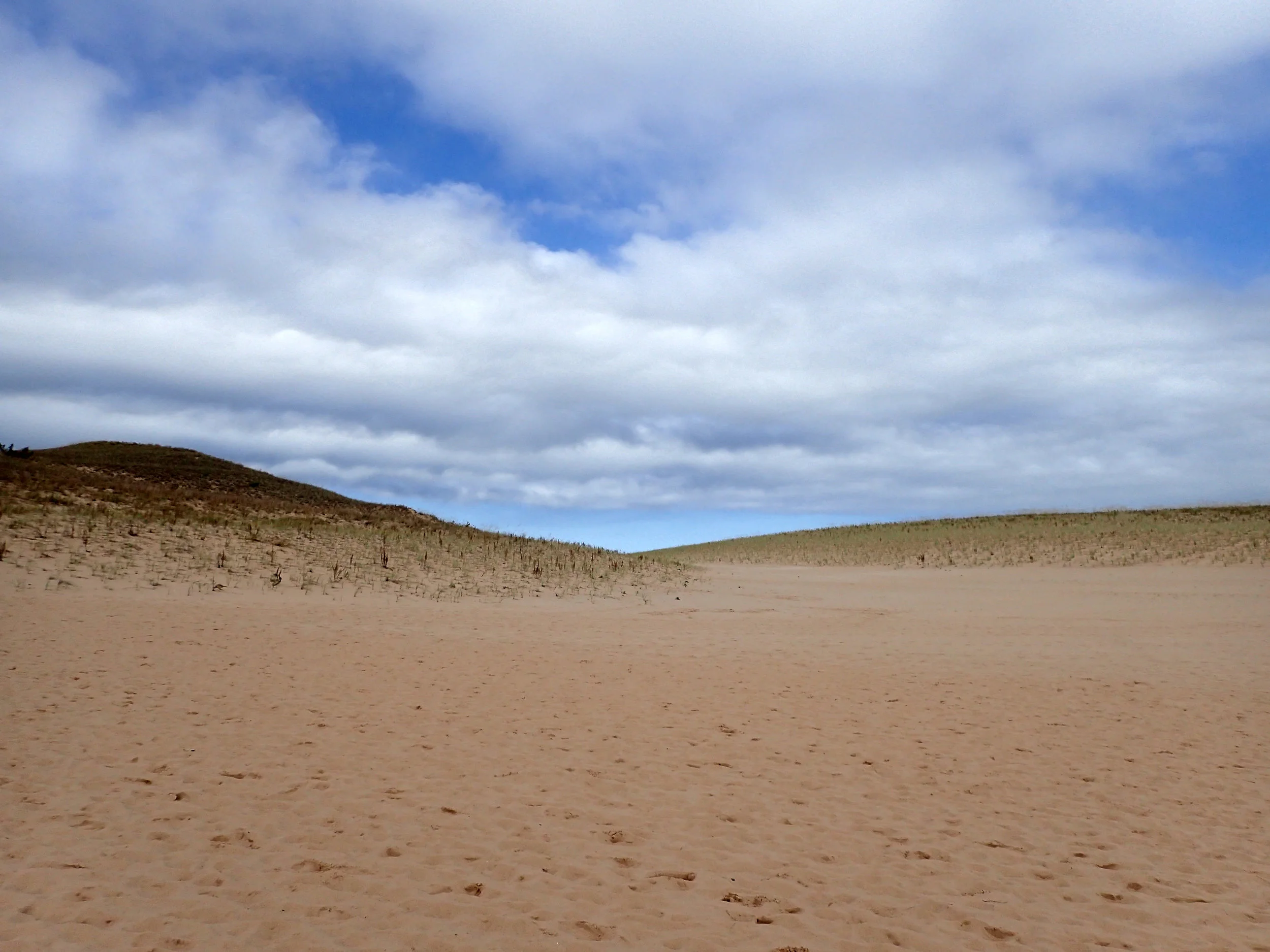 PA092484.jpg