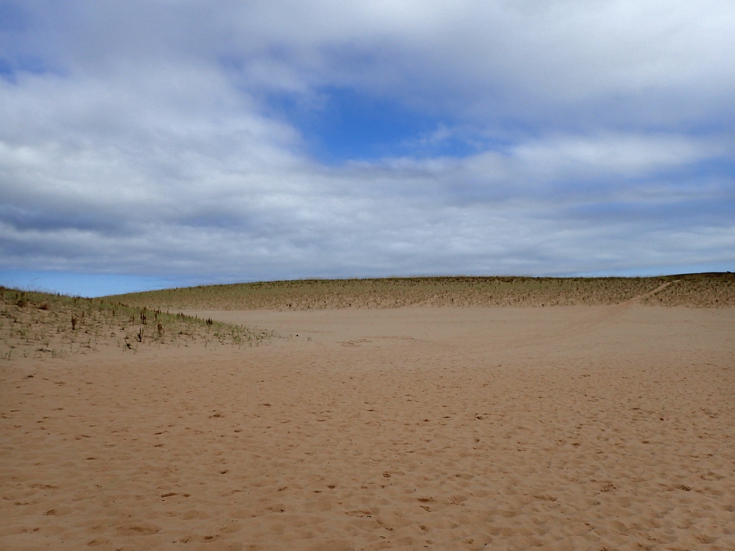 freshwater dunes.jpg