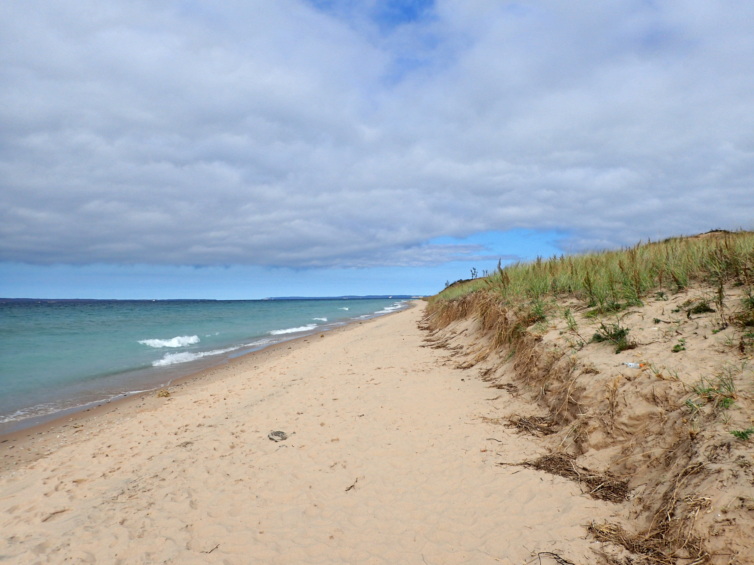 Hawaii in Michigan.jpg