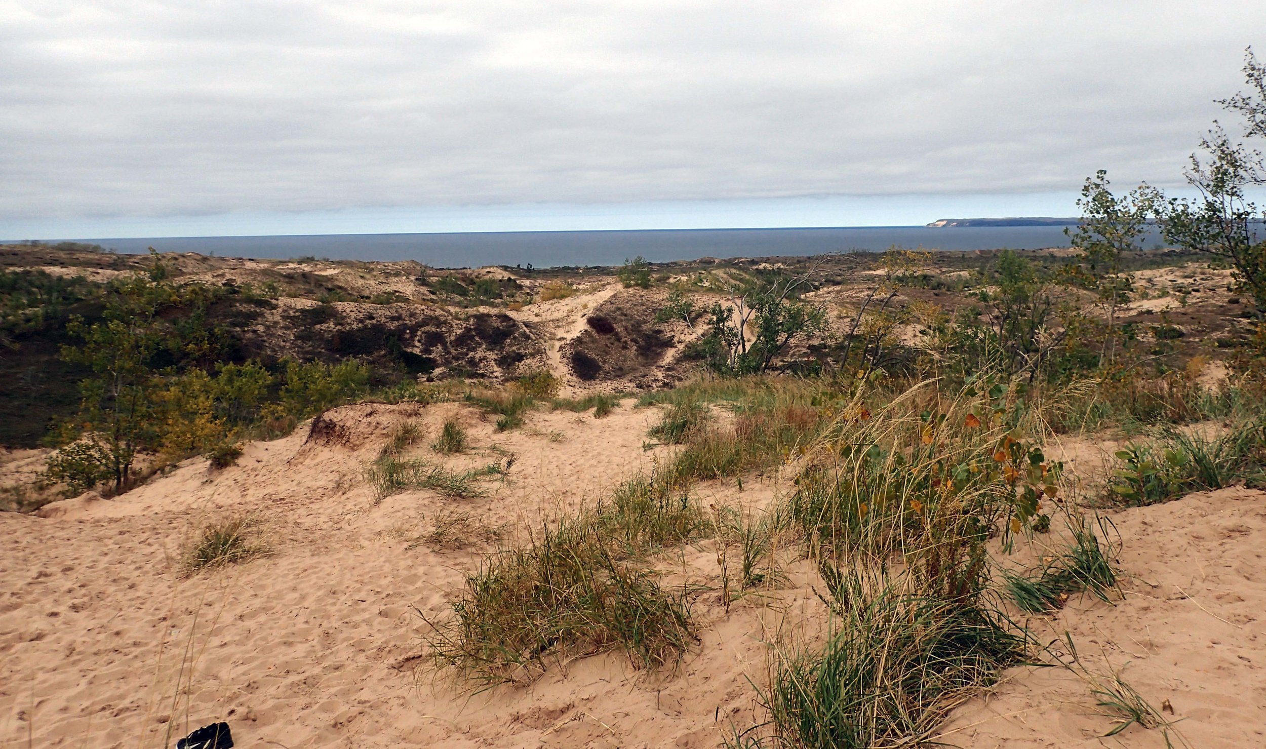 Lake Michigan from the dune climb.jpg