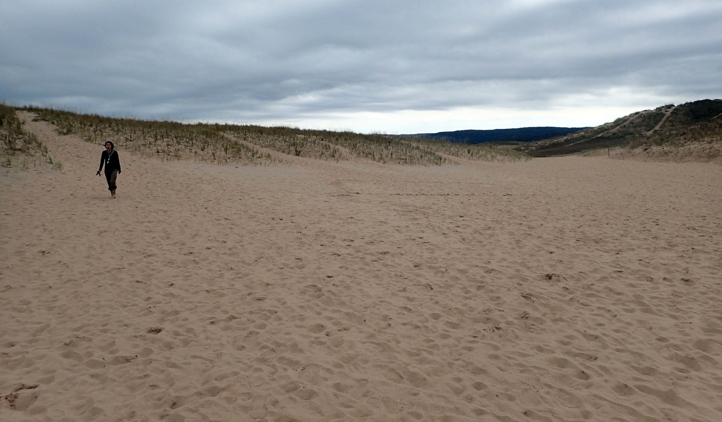 Earth's largest freshwater dunes.jpg