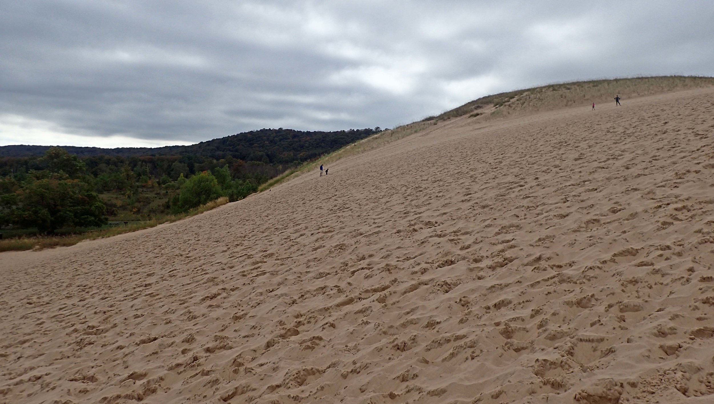 first dune.jpg
