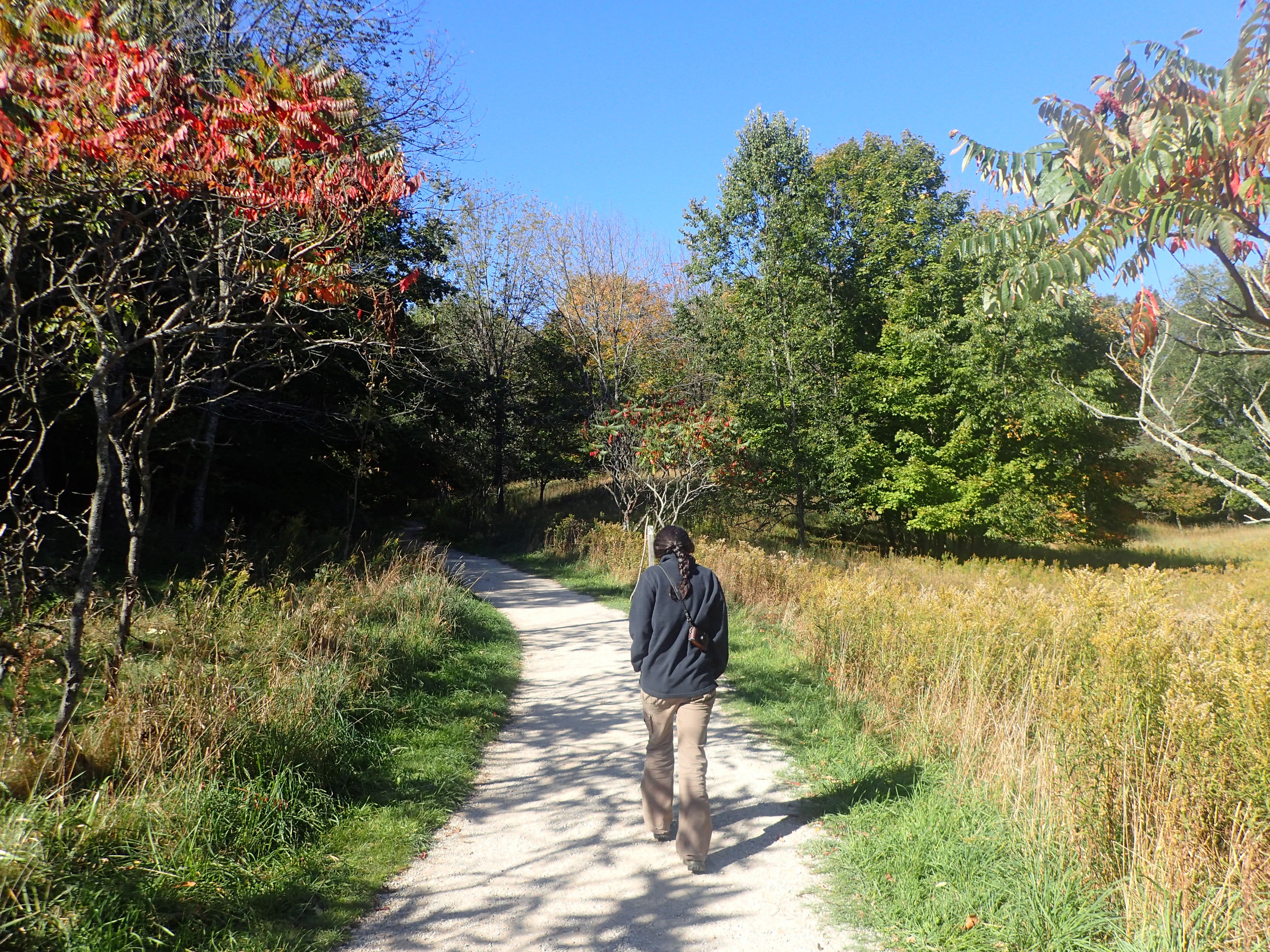 Ciaodry at Empire Bluffs.jpg