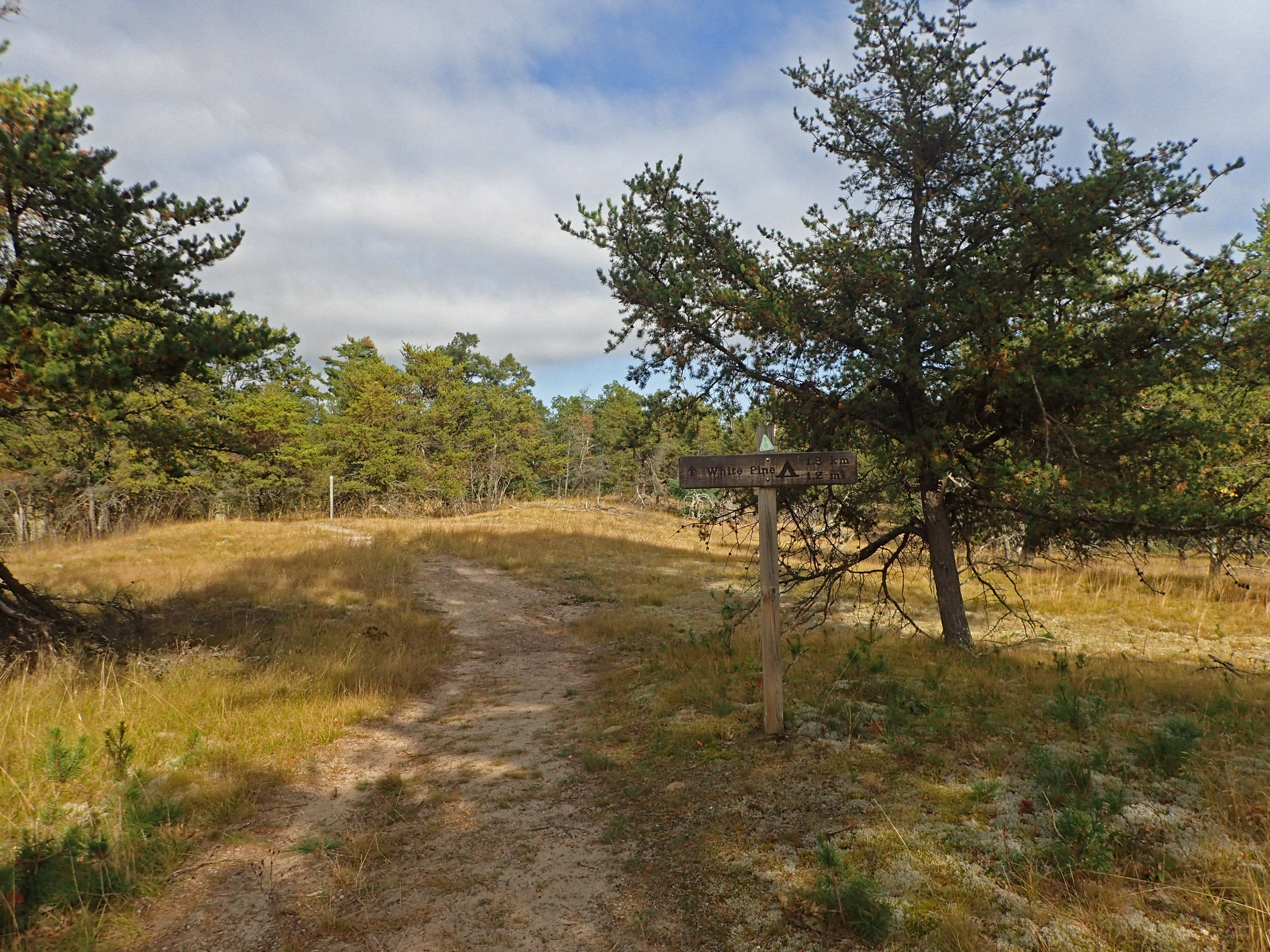 White Pine trailhead.jpg