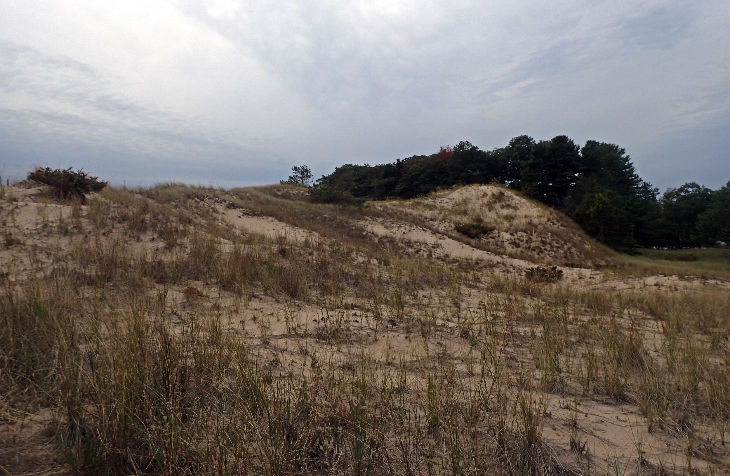 Ludington dunes.jpg