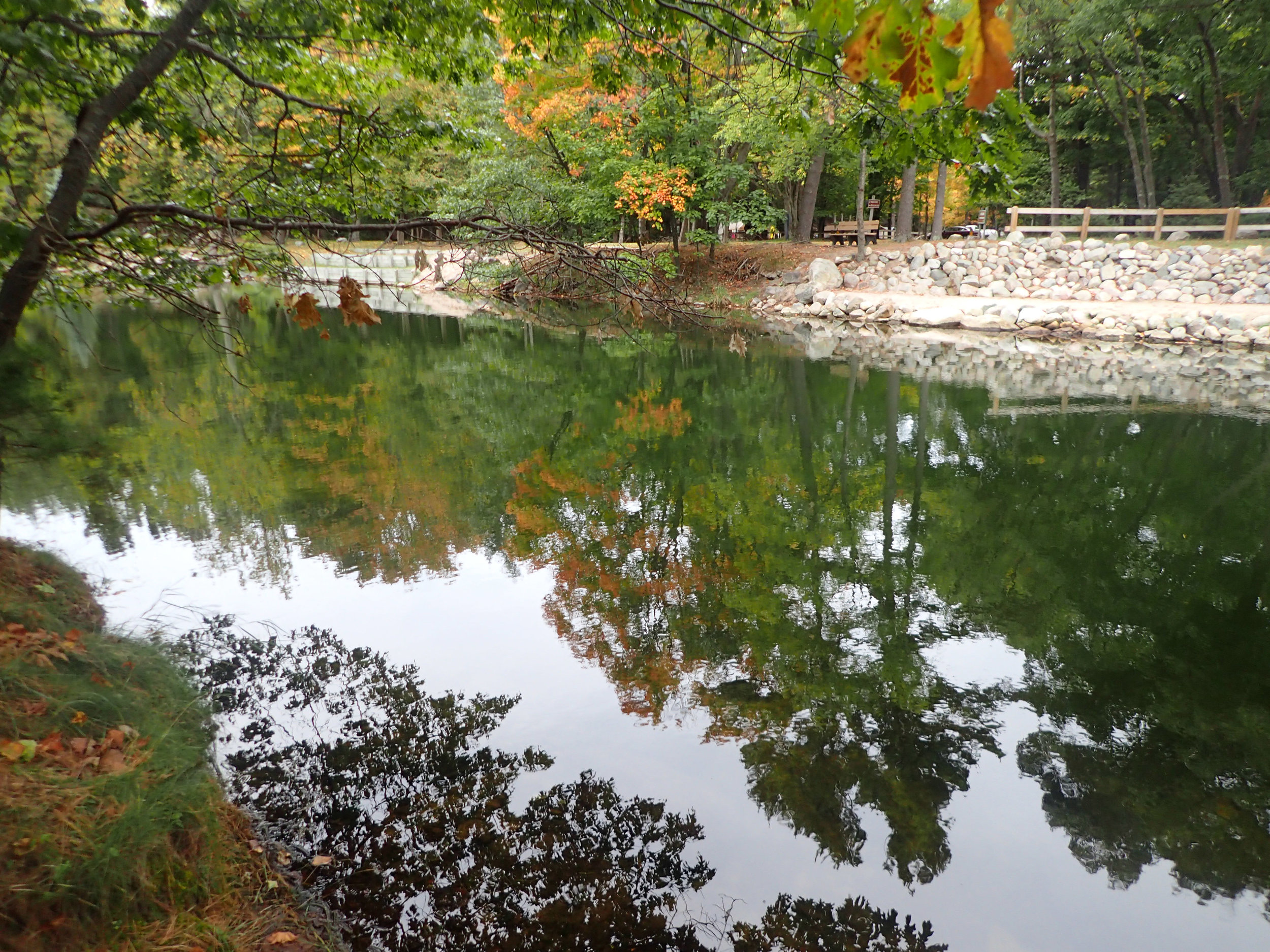 Ludington State Park.jpg