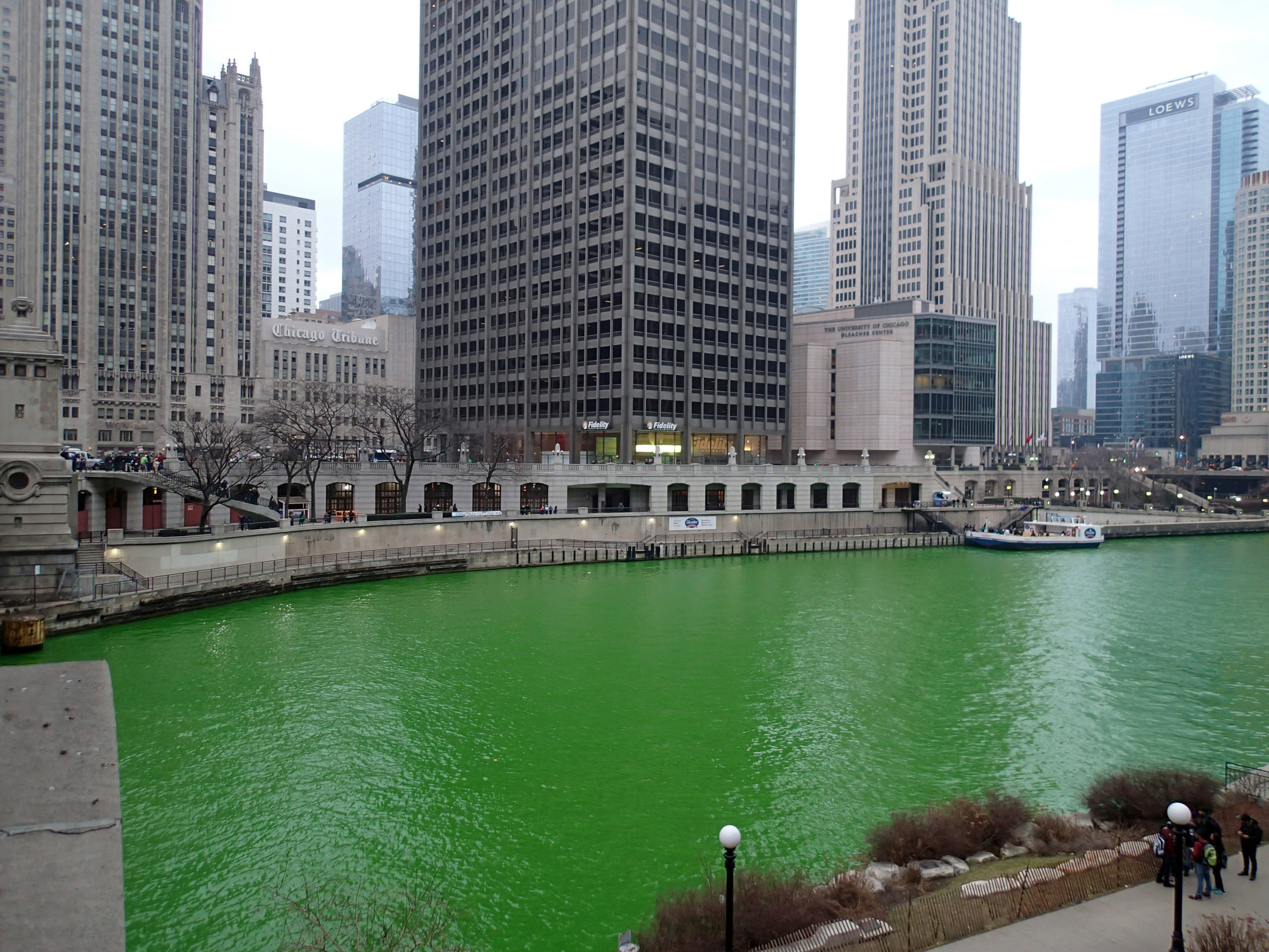 St. Patrick's Day in Chicago.jpg